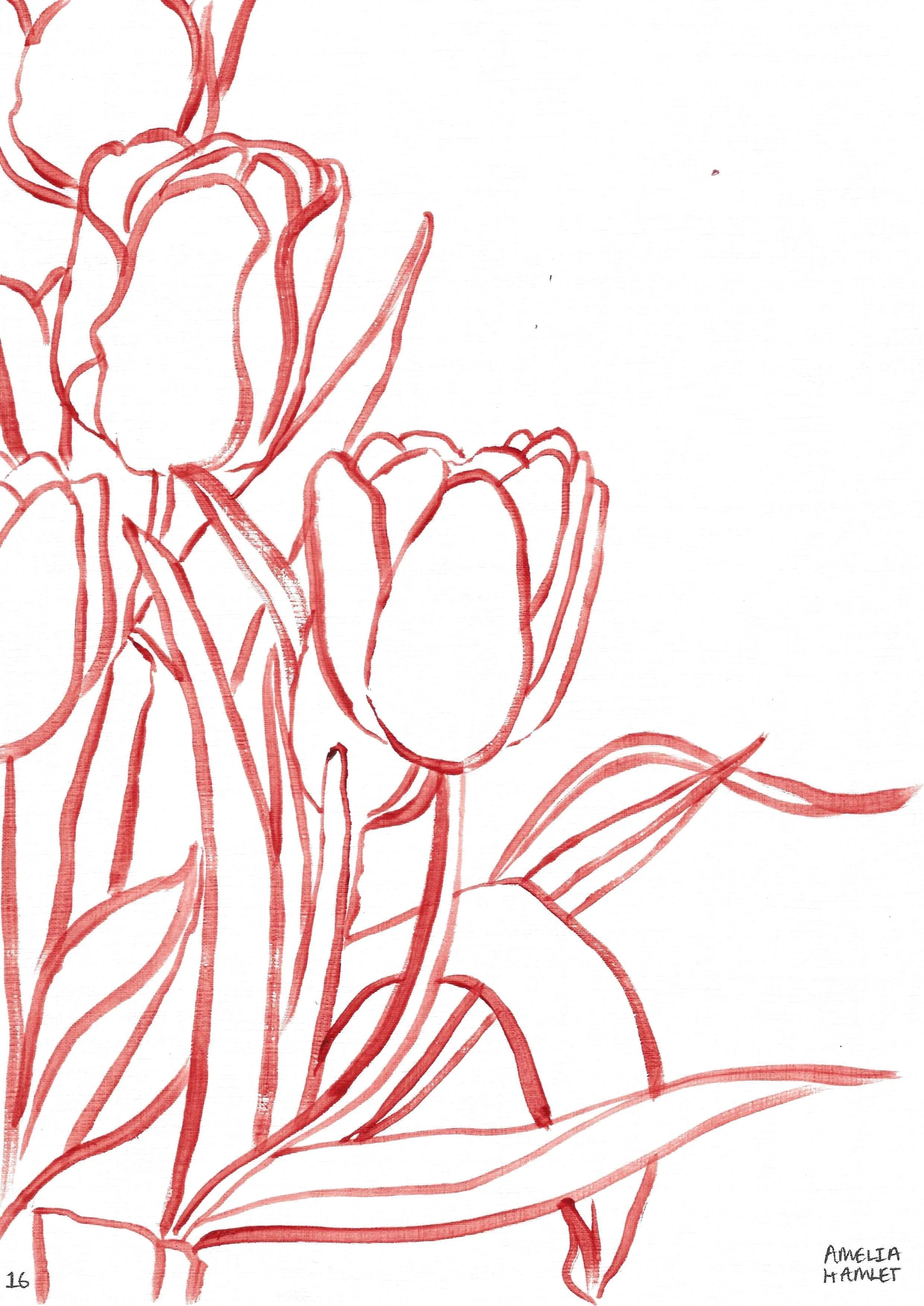 the tulip originals: second edition, 16