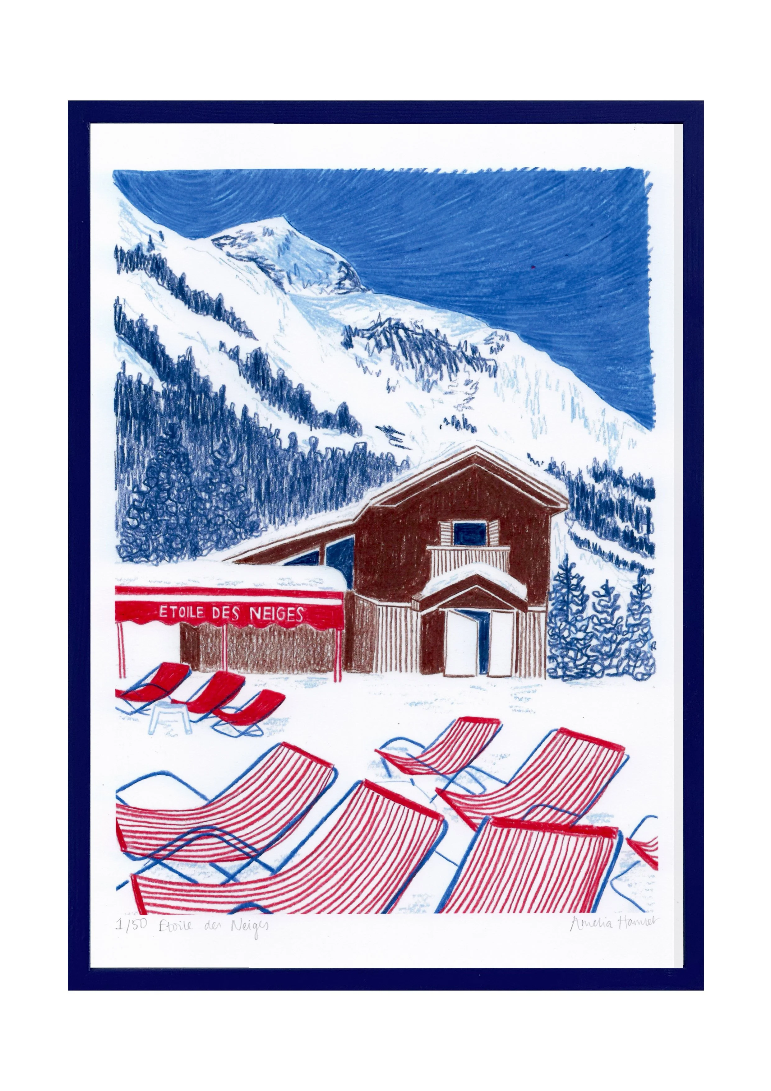 Etoile des neiges.jpg