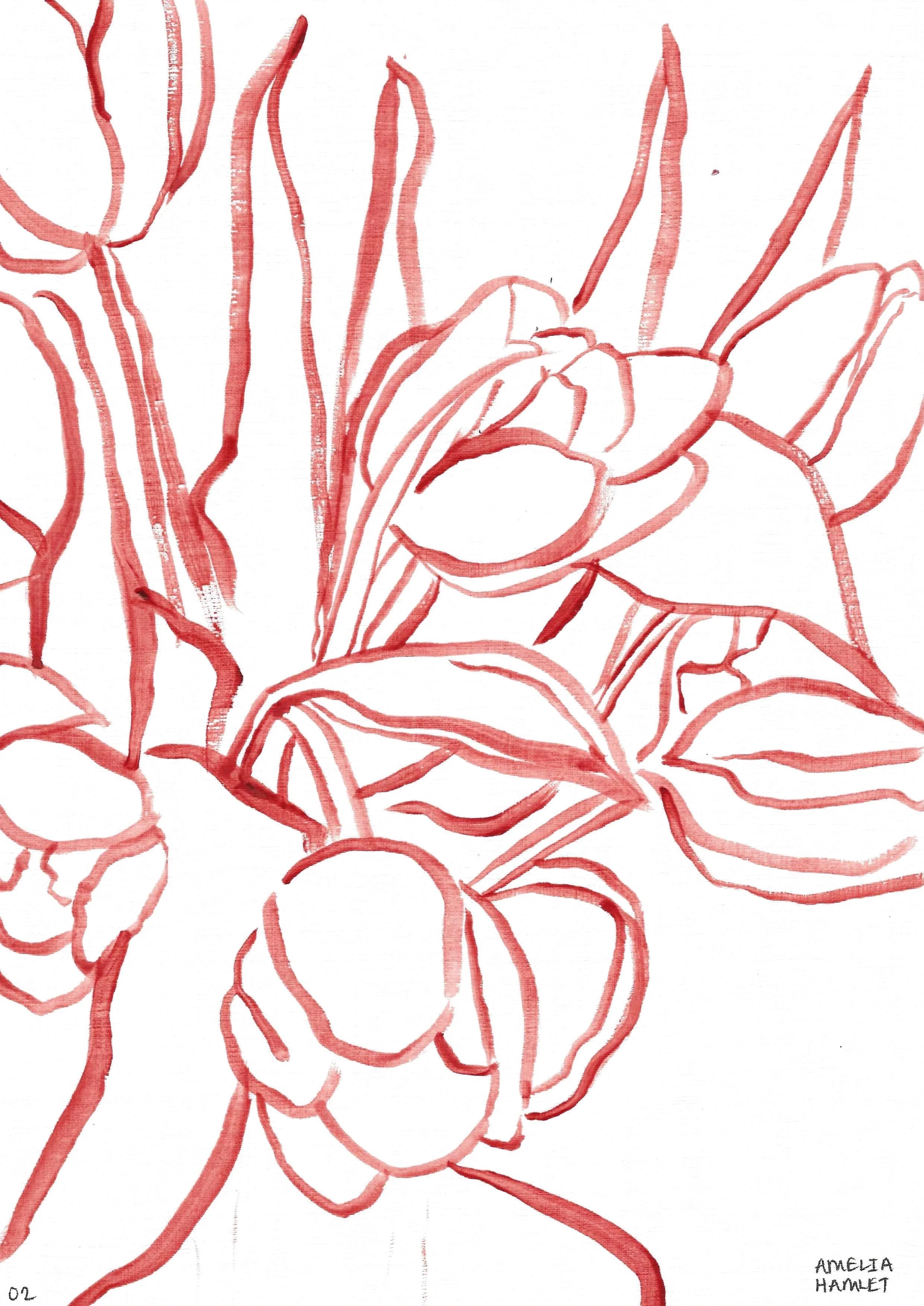 the tulip originals: second edition, 02