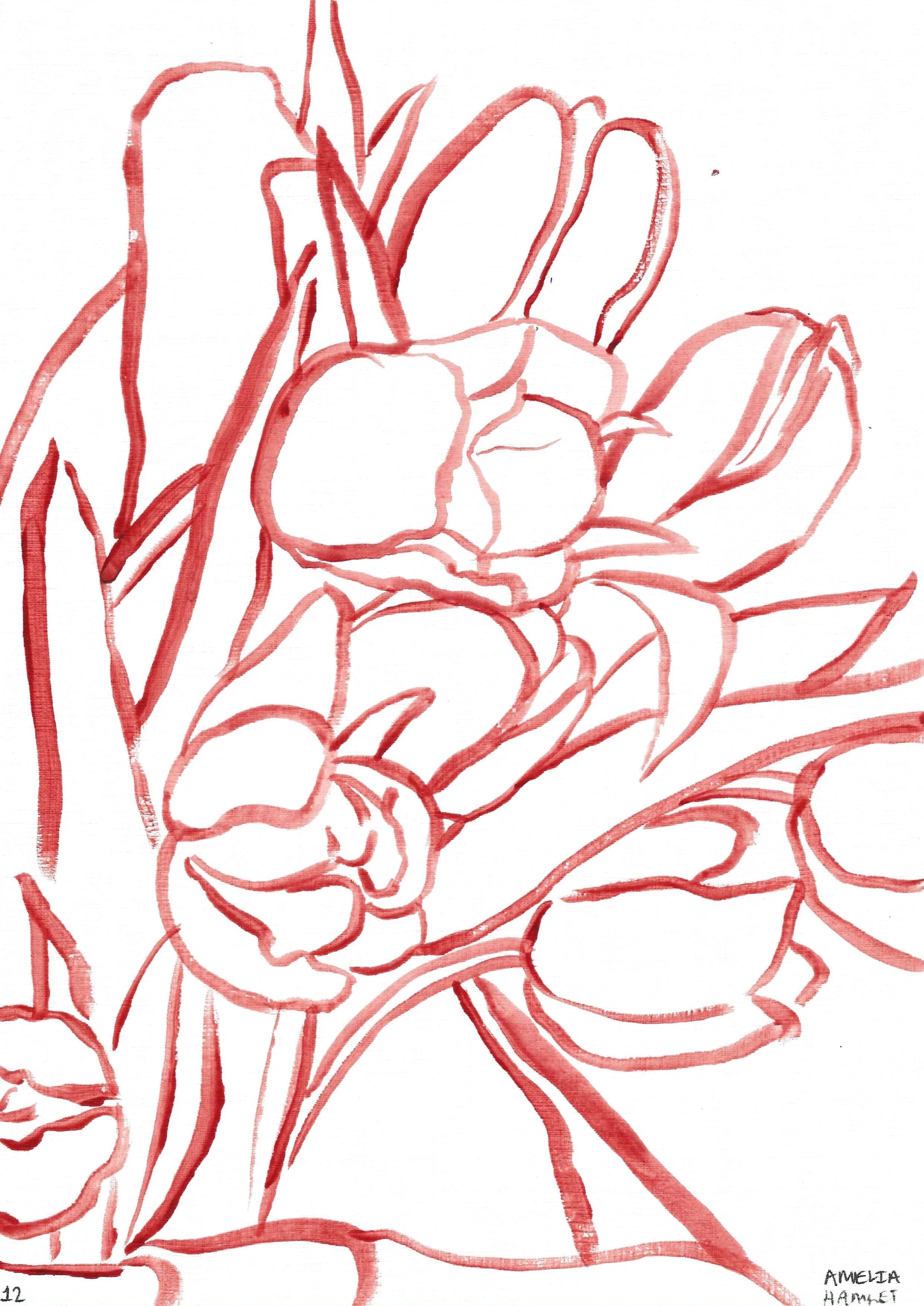 the tulip originals: second edition, 12