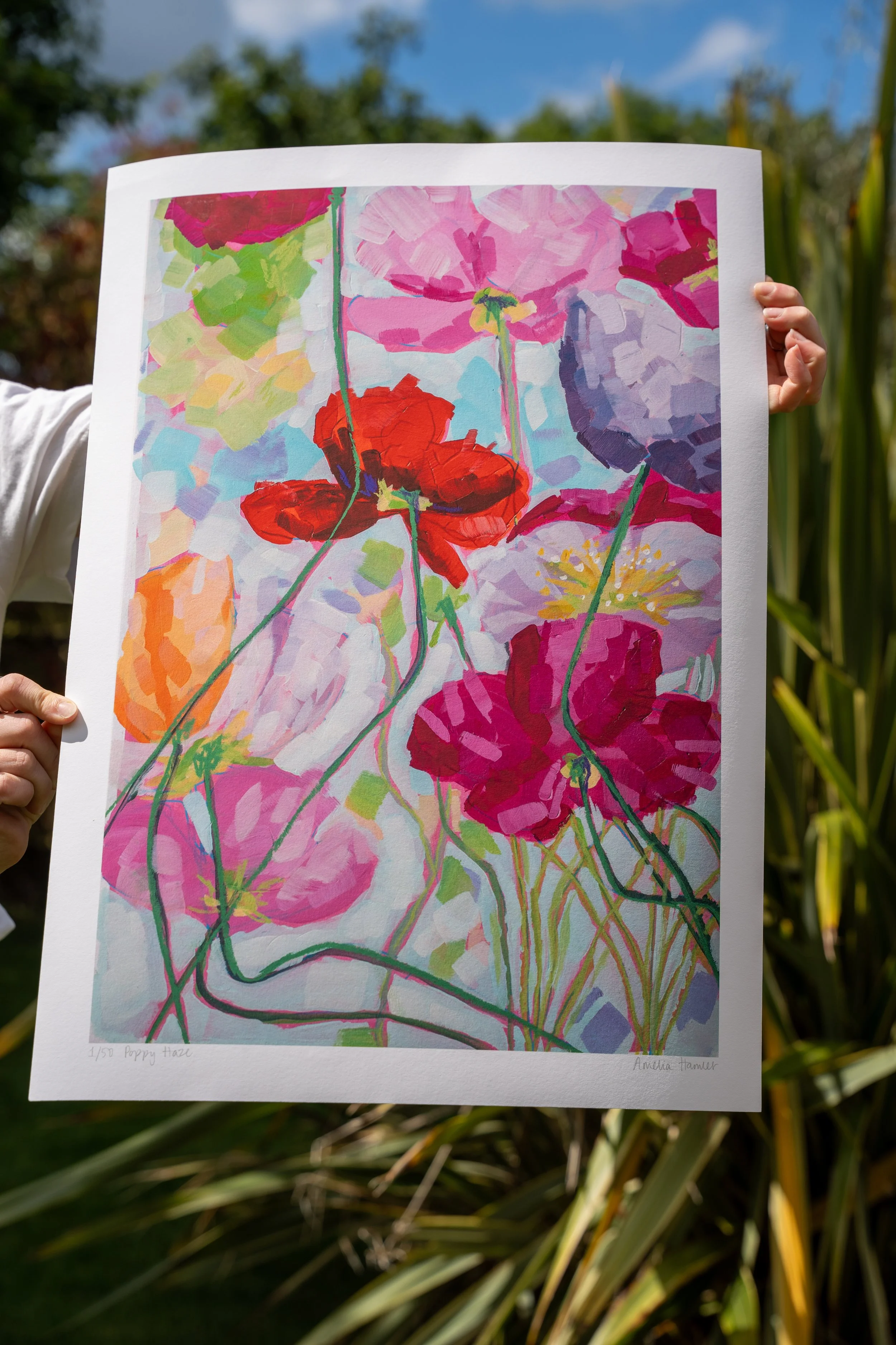 "poppy haze" fine art print