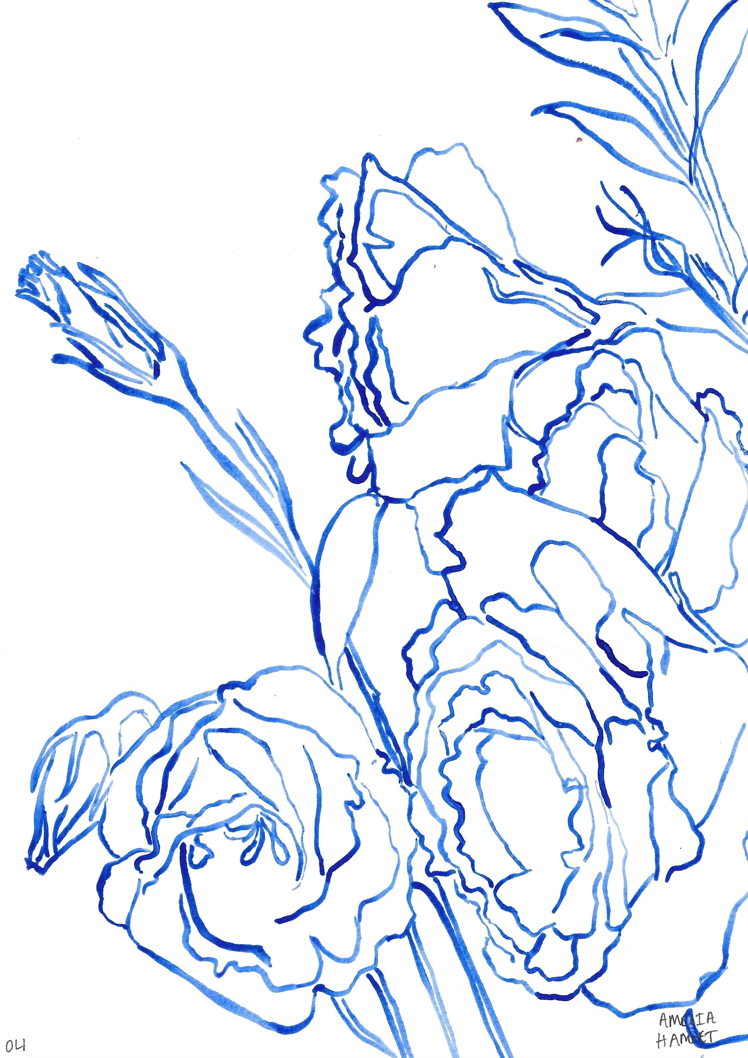 the lisianthus originals: 04