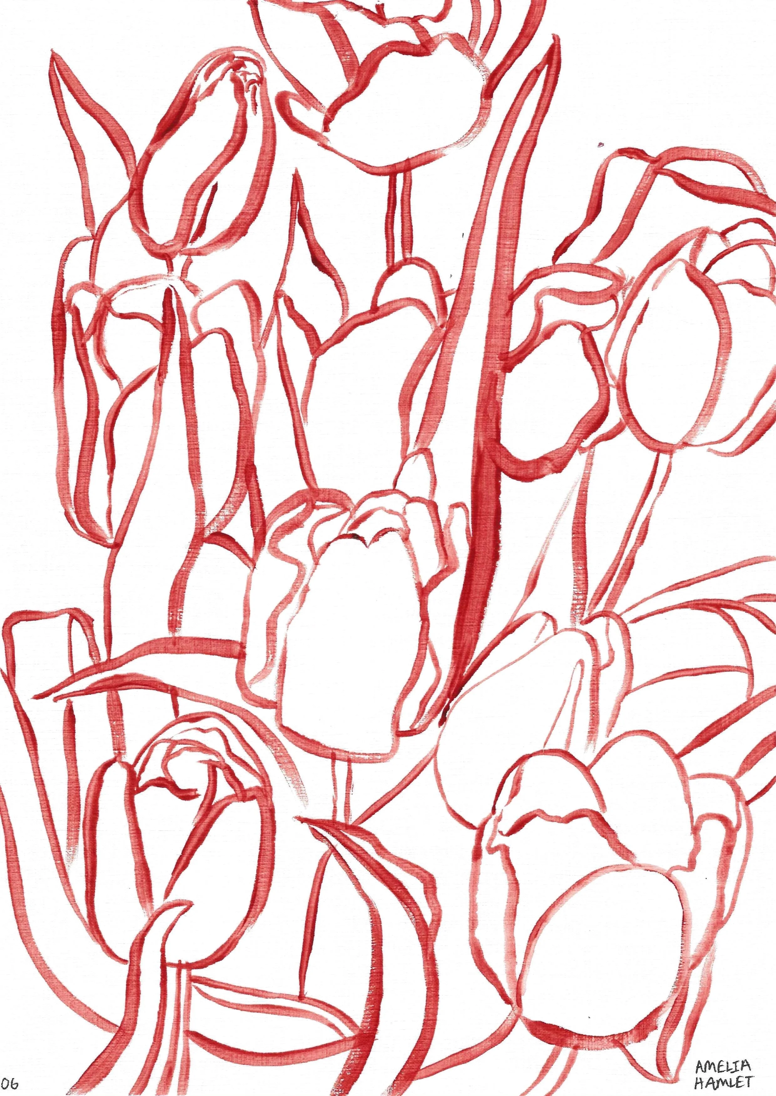 the tulip originals: second edition, 06