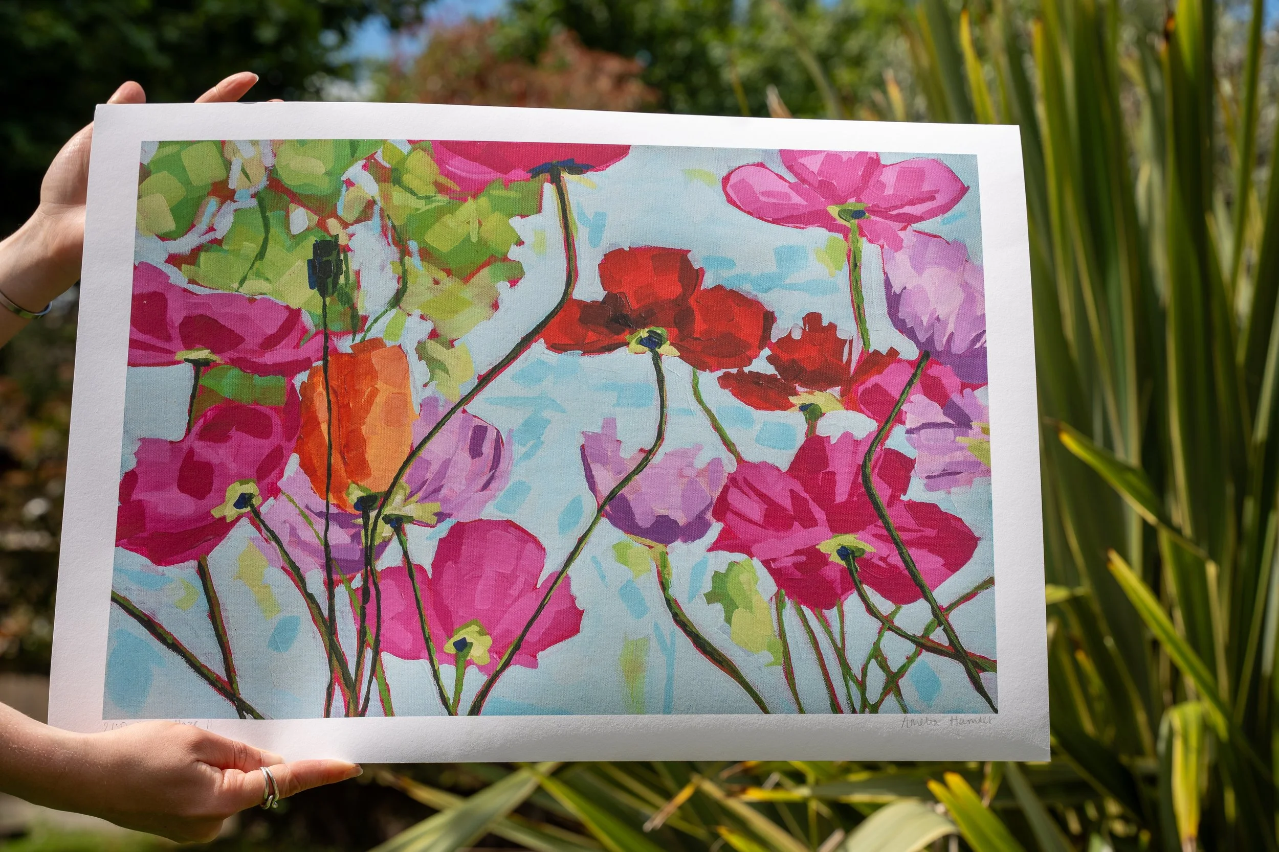 "poppy haze II" fine art print