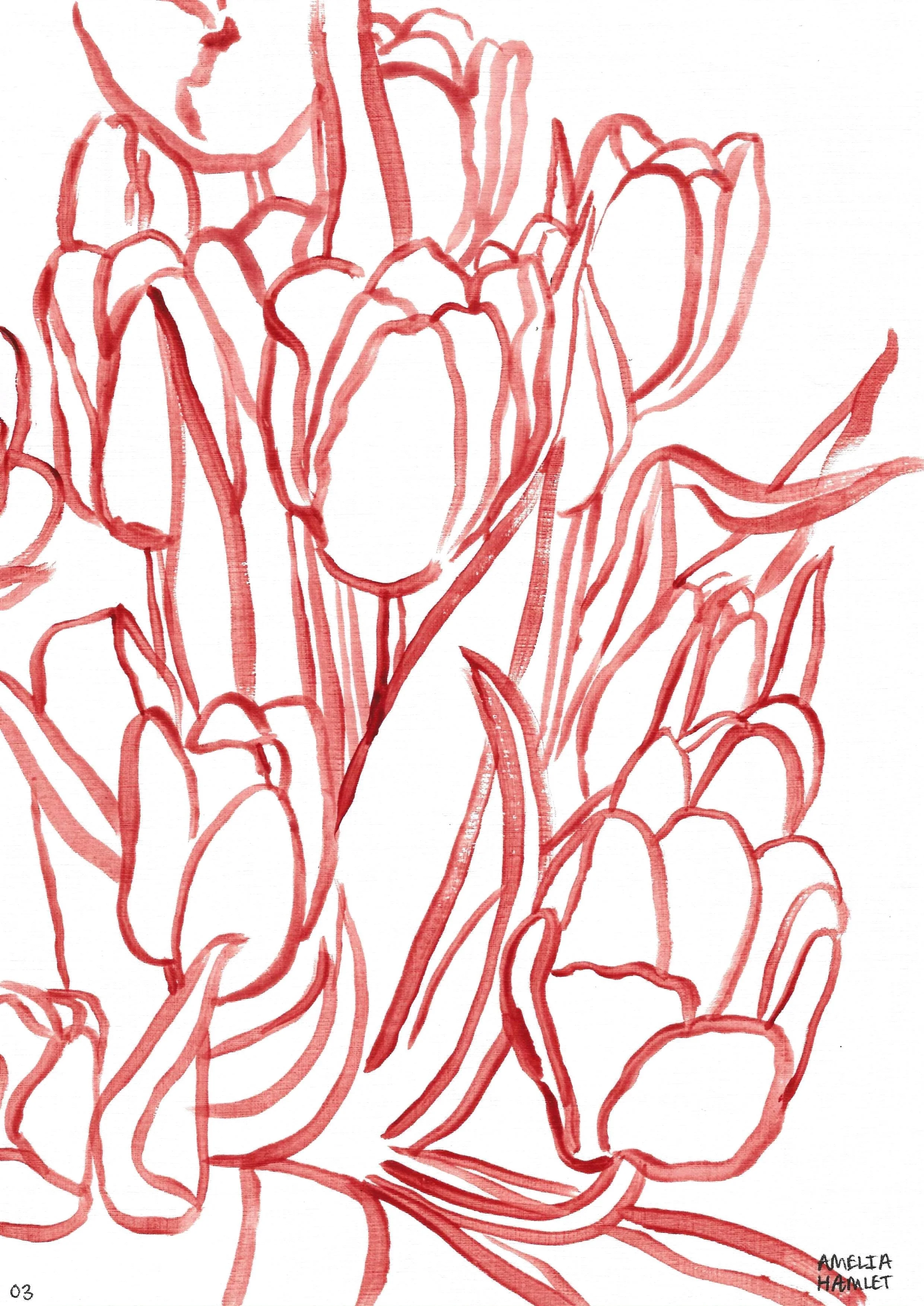 the tulip originals: second edition, 03