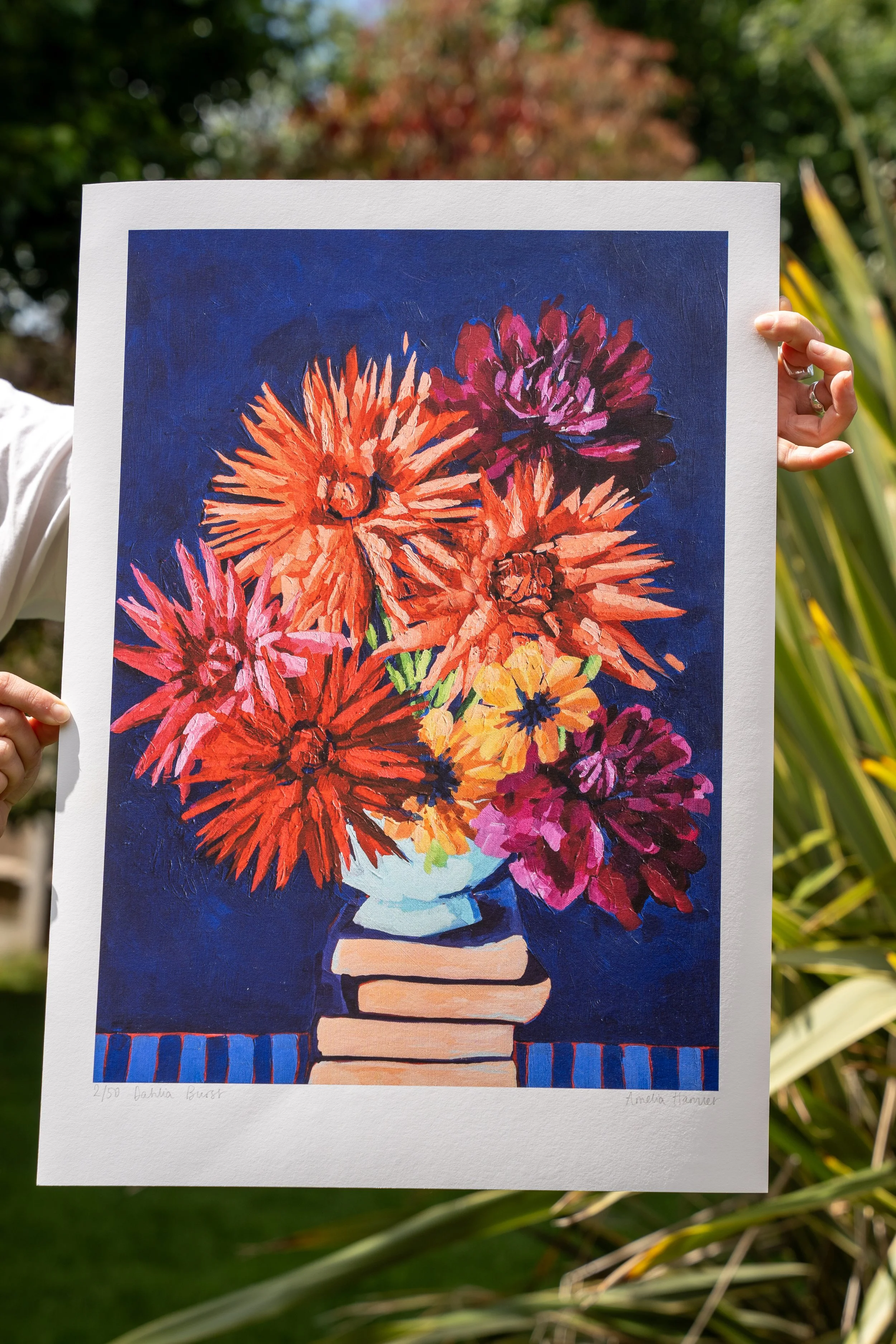 "dahlia burst" fine art print