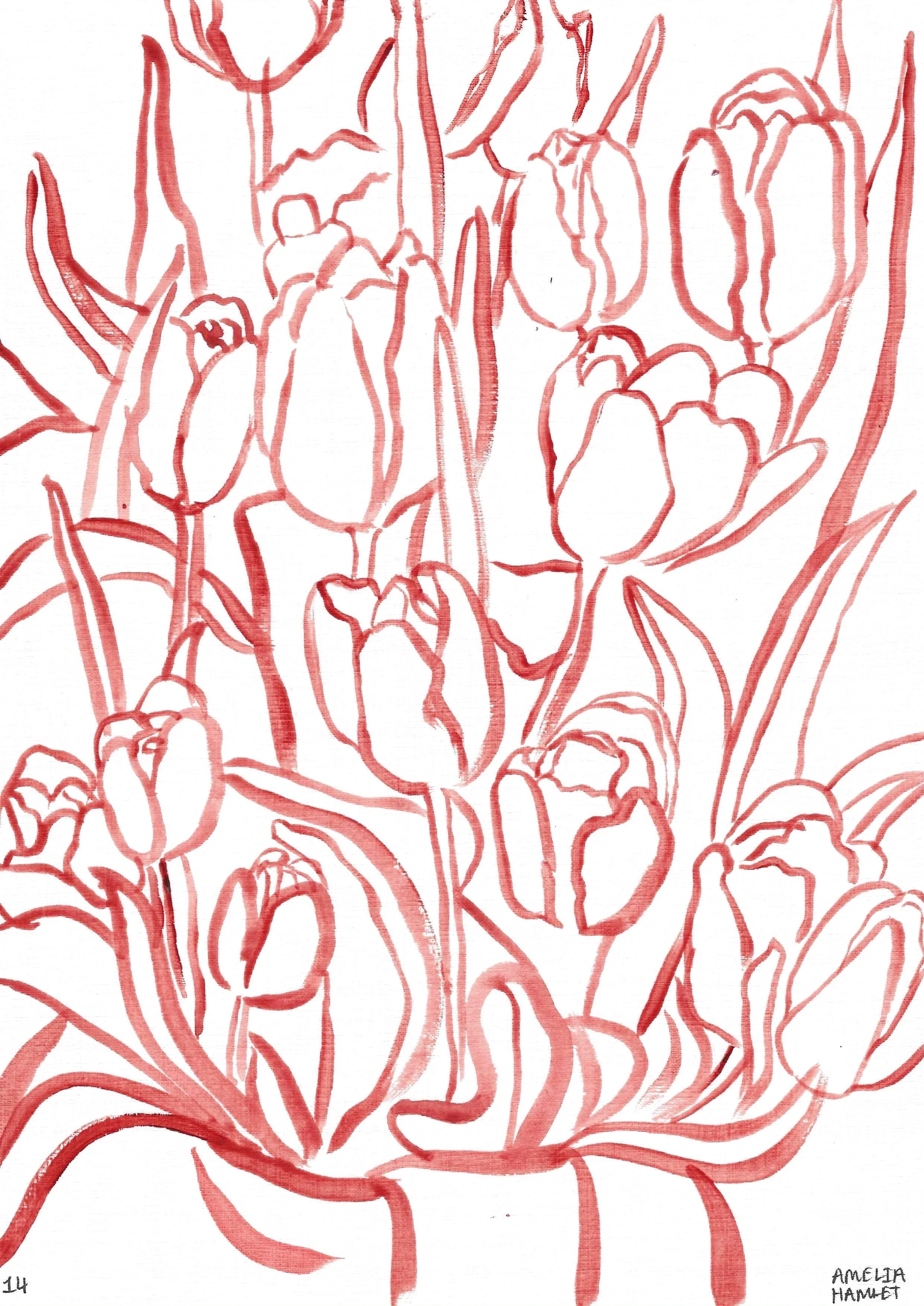 the tulip originals: second edition, 14