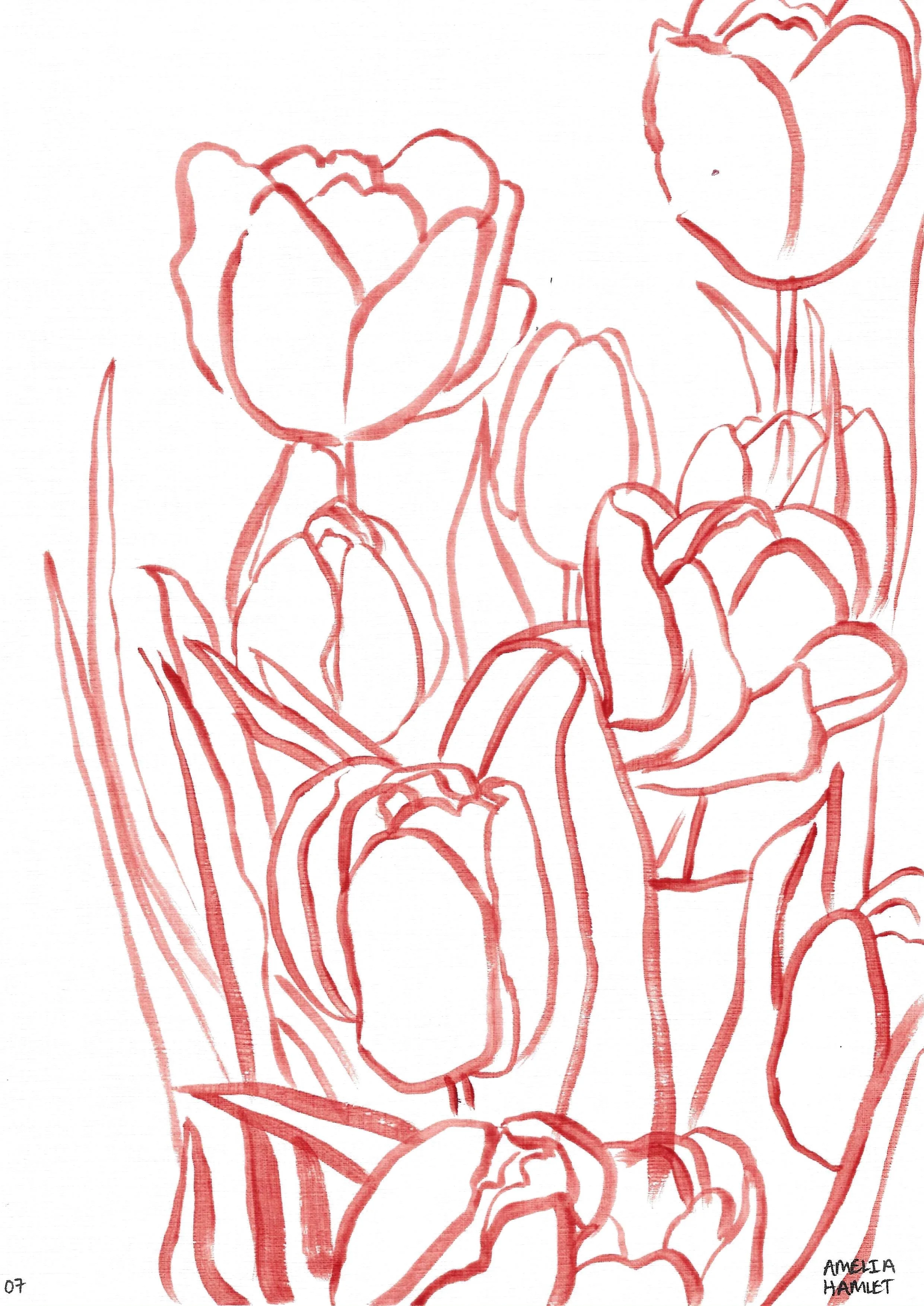 the tulip originals: second edition, 07