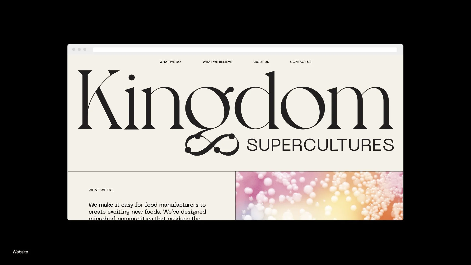 Screenshot of a website homepage titled 'Kingdom Supercultures' with navigation links 'What We Do,' 'What We Believe,' 'About Us,' and 'Contact Us.' The website features a description of their work in microbial communities and a colorful image of mic