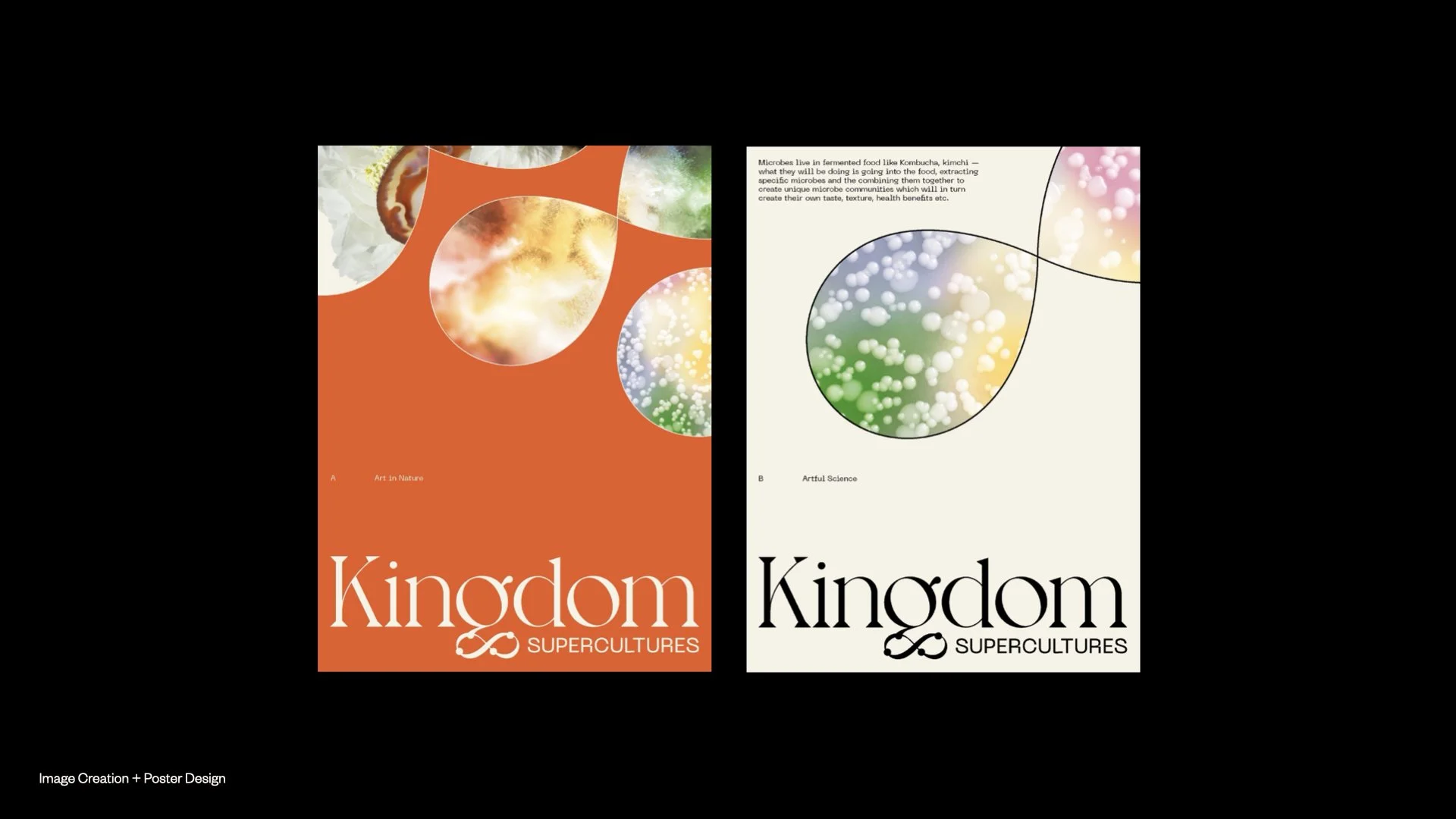 Comparison of two poster covers for a publication titled "Kingdom: Supercultures." The left poster has an orange background with abstract circular images of different textures and the subtitle "Art in Nature." The right poster has a light background 