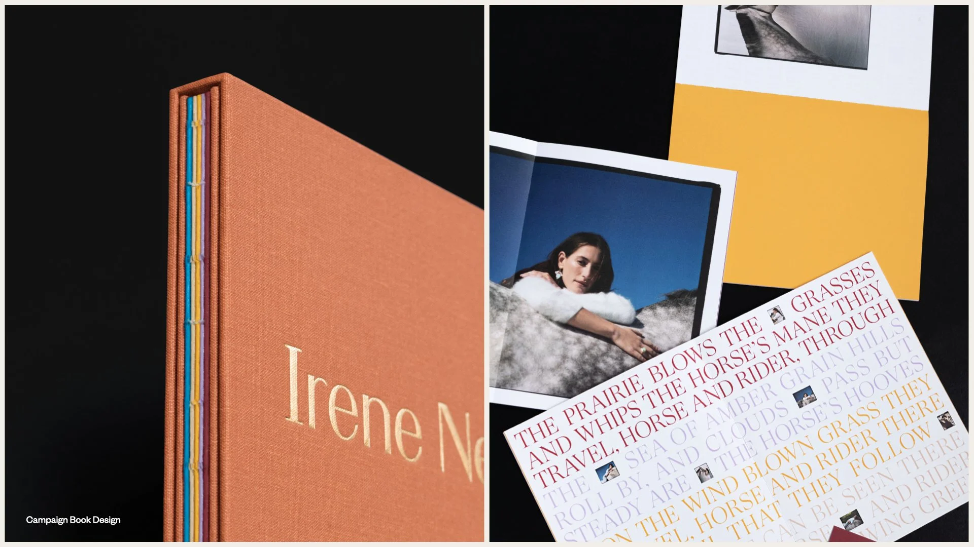 Book with an orange cover titled "Irene Ne" and nearby printed images and text, including a woman outdoors, a landscape, and colorful paper with lyrics or poem lines on a black background.