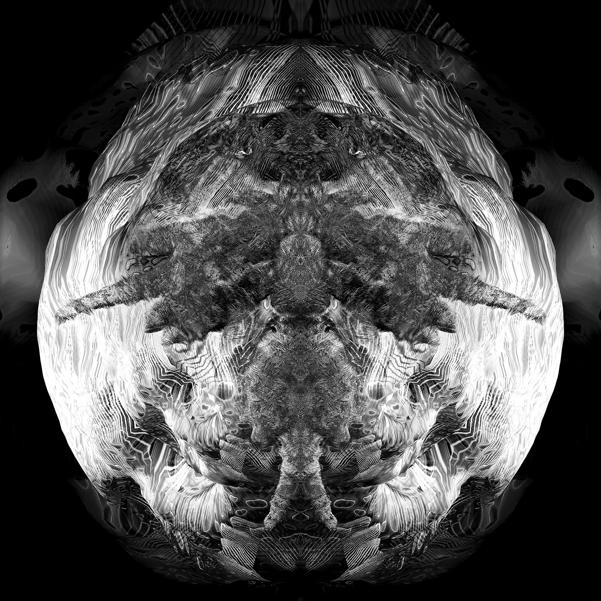 Digital Embryo