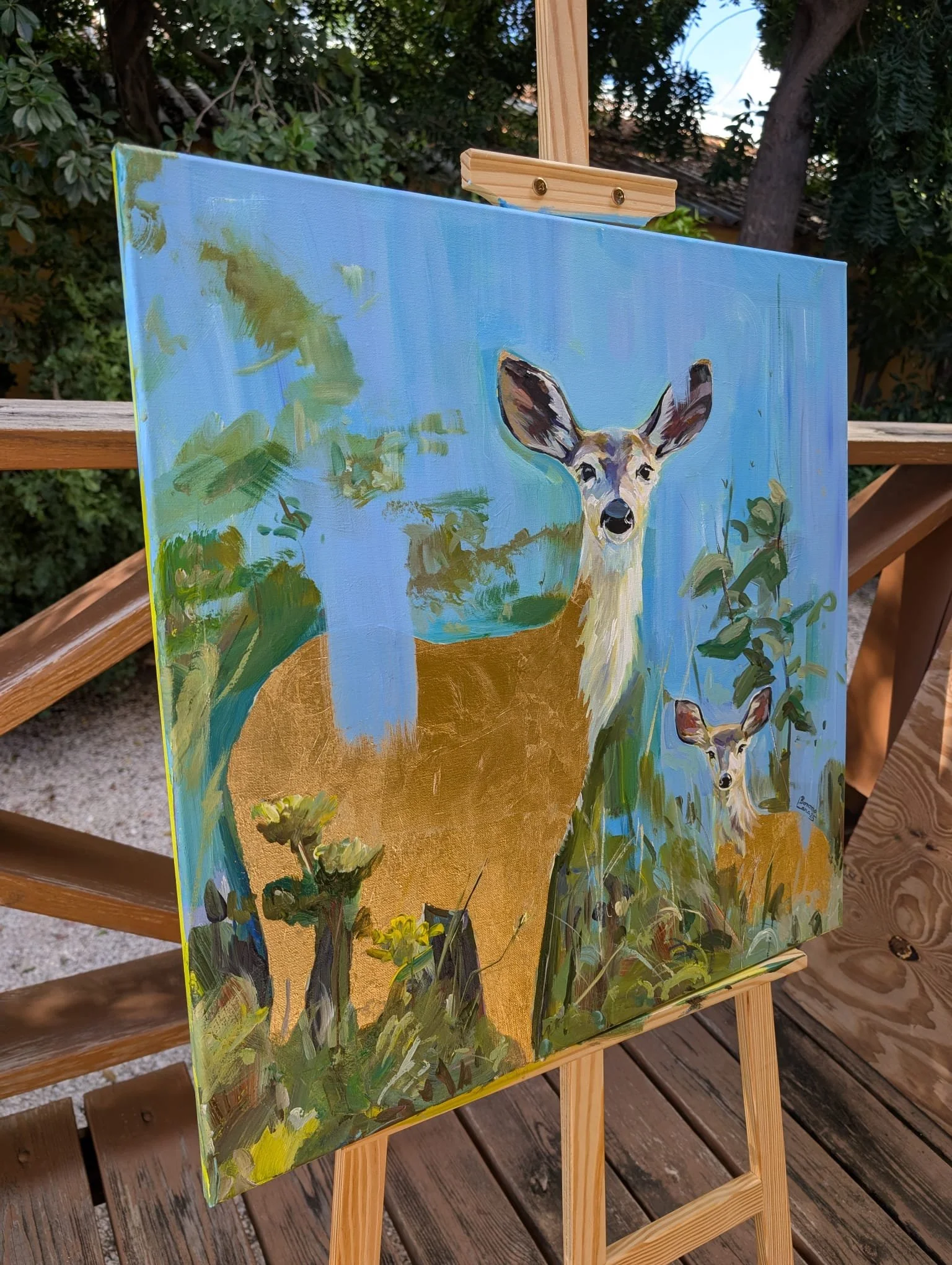 WhatsApp Image 2025-12-26 at 2.51.43 PM (3).jpeg