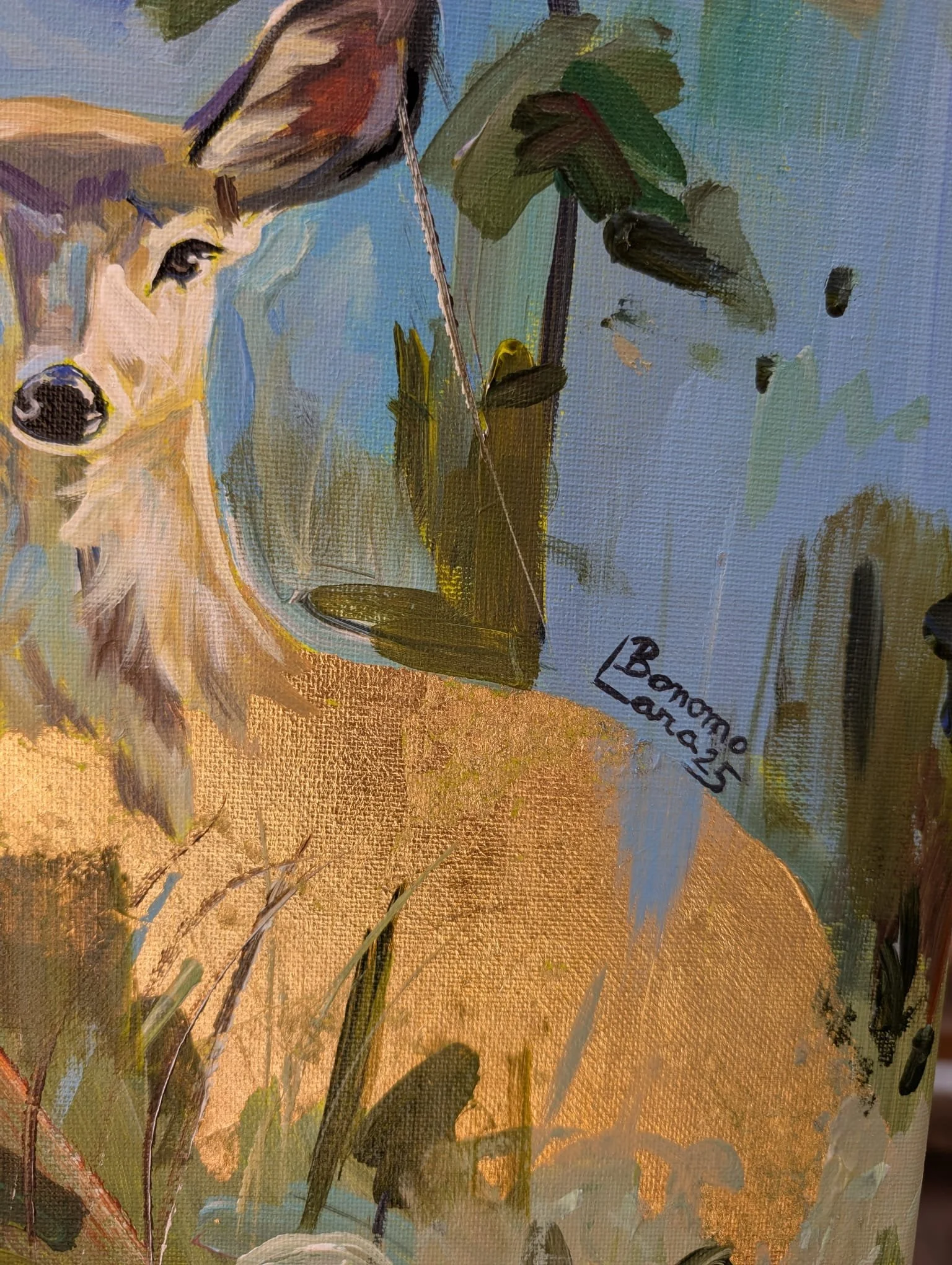 WhatsApp Image 2025-12-26 at 2.51.43 PM (1).jpeg