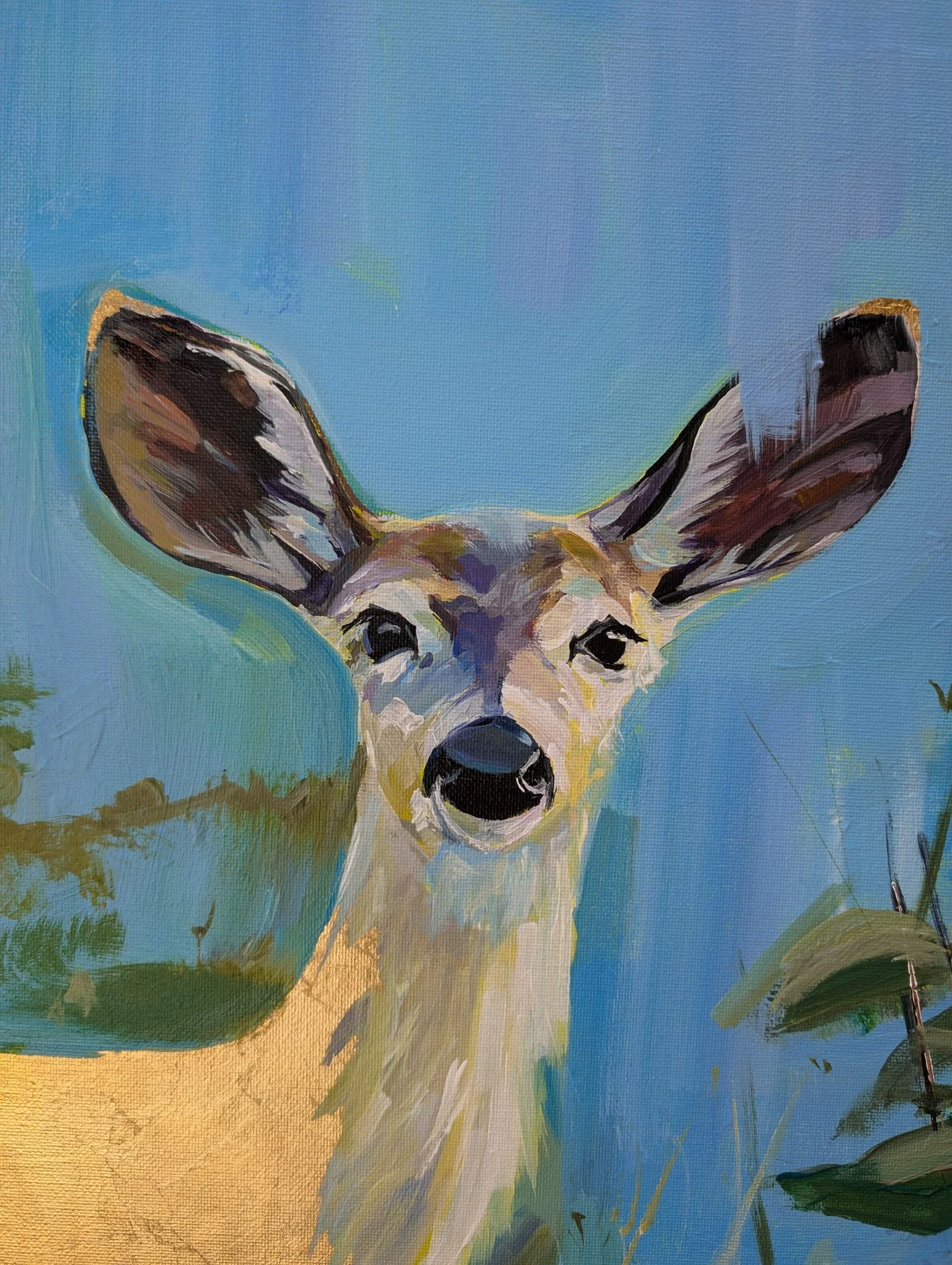 WhatsApp Image 2025-12-26 at 2.51.43 PM (2).jpeg