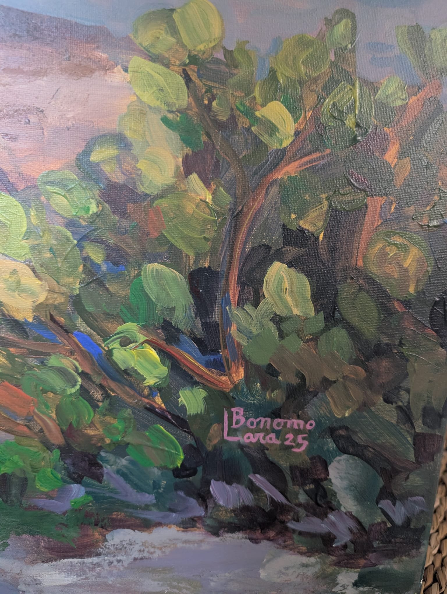 WhatsApp Image 2026-01-14 at 4.40.06 PM.jpeg