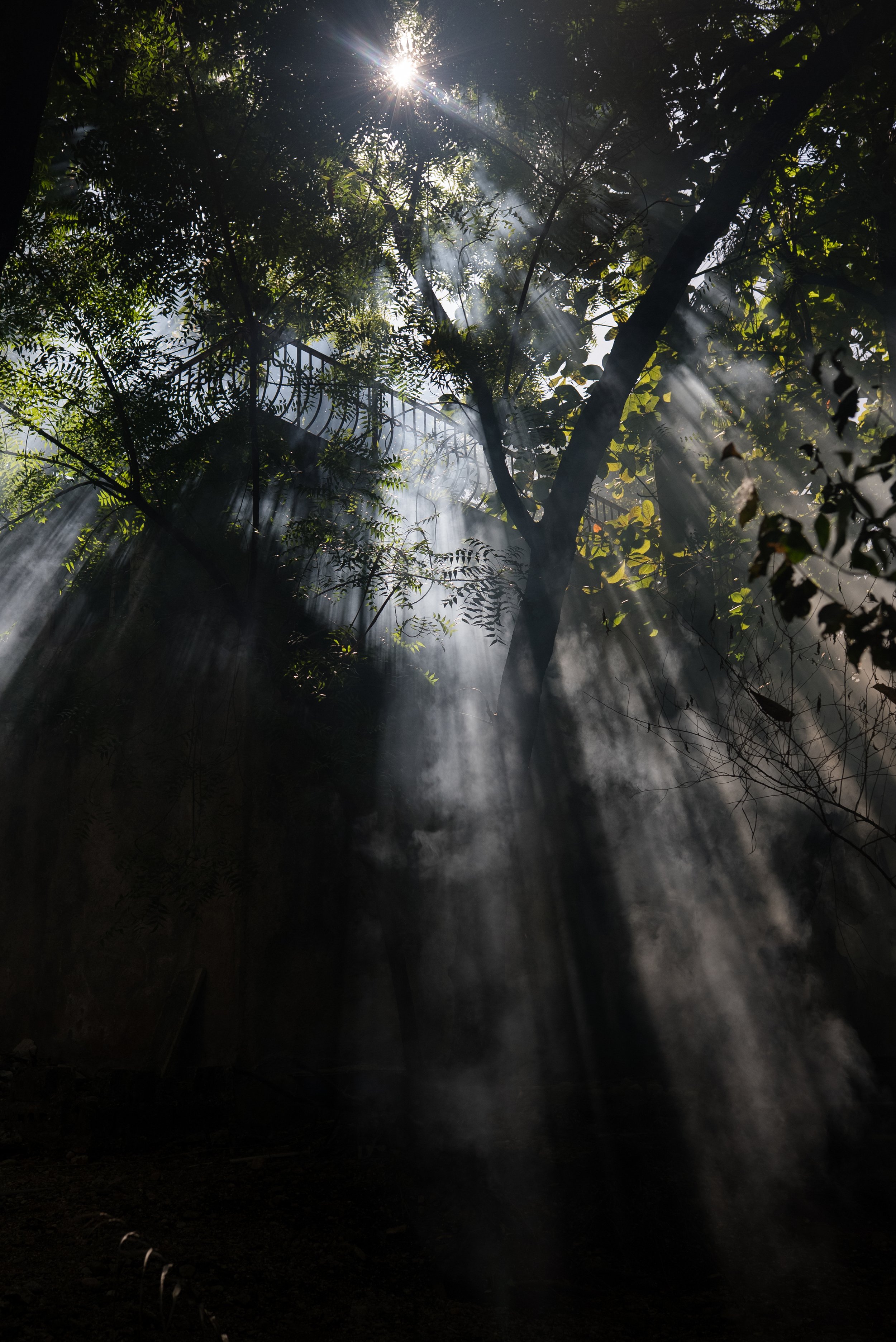 Smoke pours through neighboors in Port-au-Prince near burning tires as conflict ensues.
