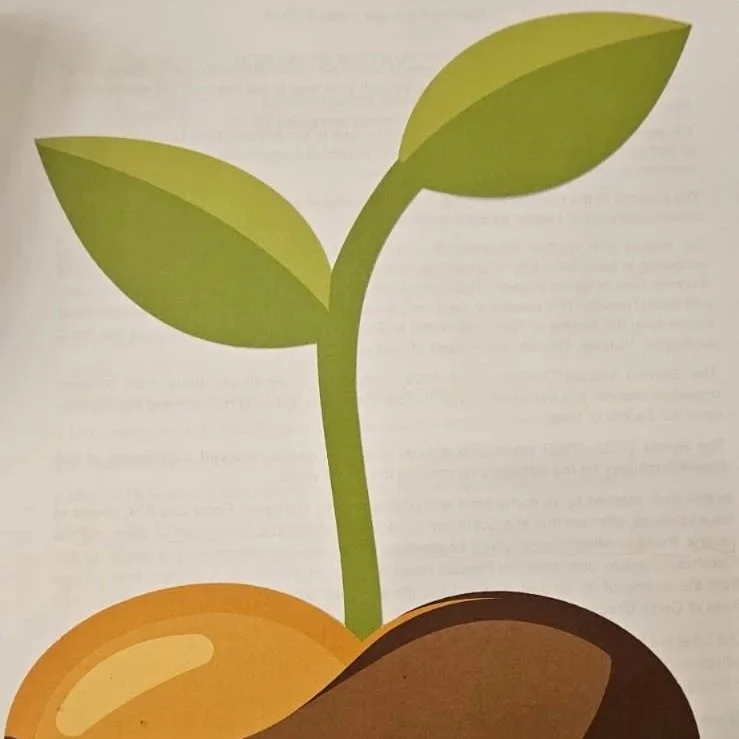 seeds+of+hope.jpg