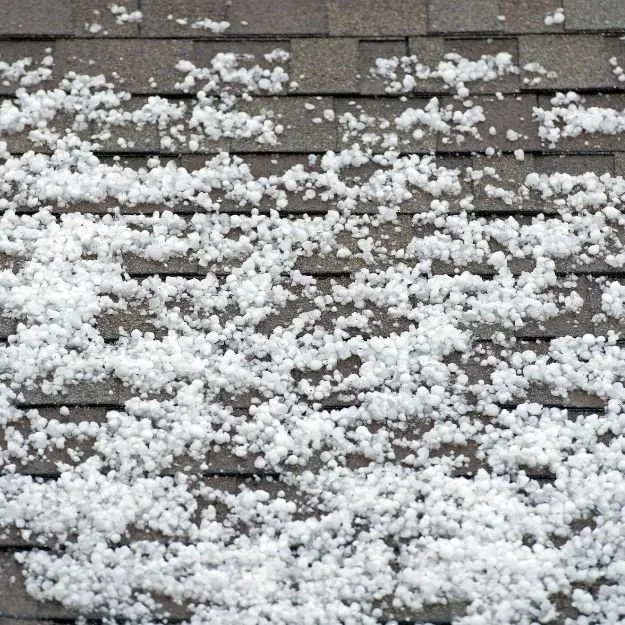 Hailstones scattered across a gray shingled roof