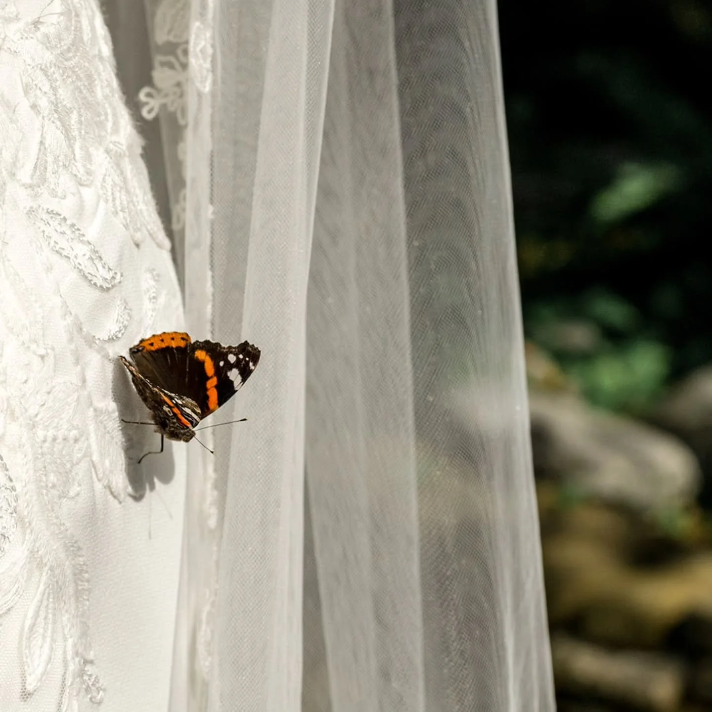 Soms zijn het niet de grote momenten, 
maar juist deze kleine, onverwachte. 🦋
#trouwfotografie #stateofdreaming #trouwjurk #trouwdag