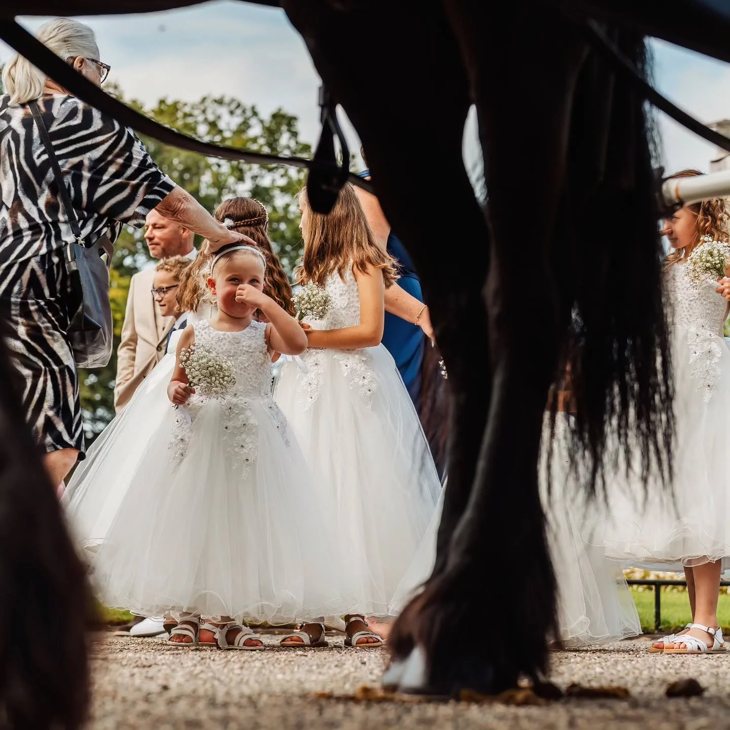 Paarden op een bruiloft: altijd mooi. En soms ruik je dat ook 😂💩 
Hebben jullie ook een viervoeter op de bruiloft (gehad)? Zoja, welke? 

#bruiloft #trouwen #behindthescenes #dierenopdebruiloft #bruidskinderen #trouwen2026 #bruidskoets #bruidsfotog
