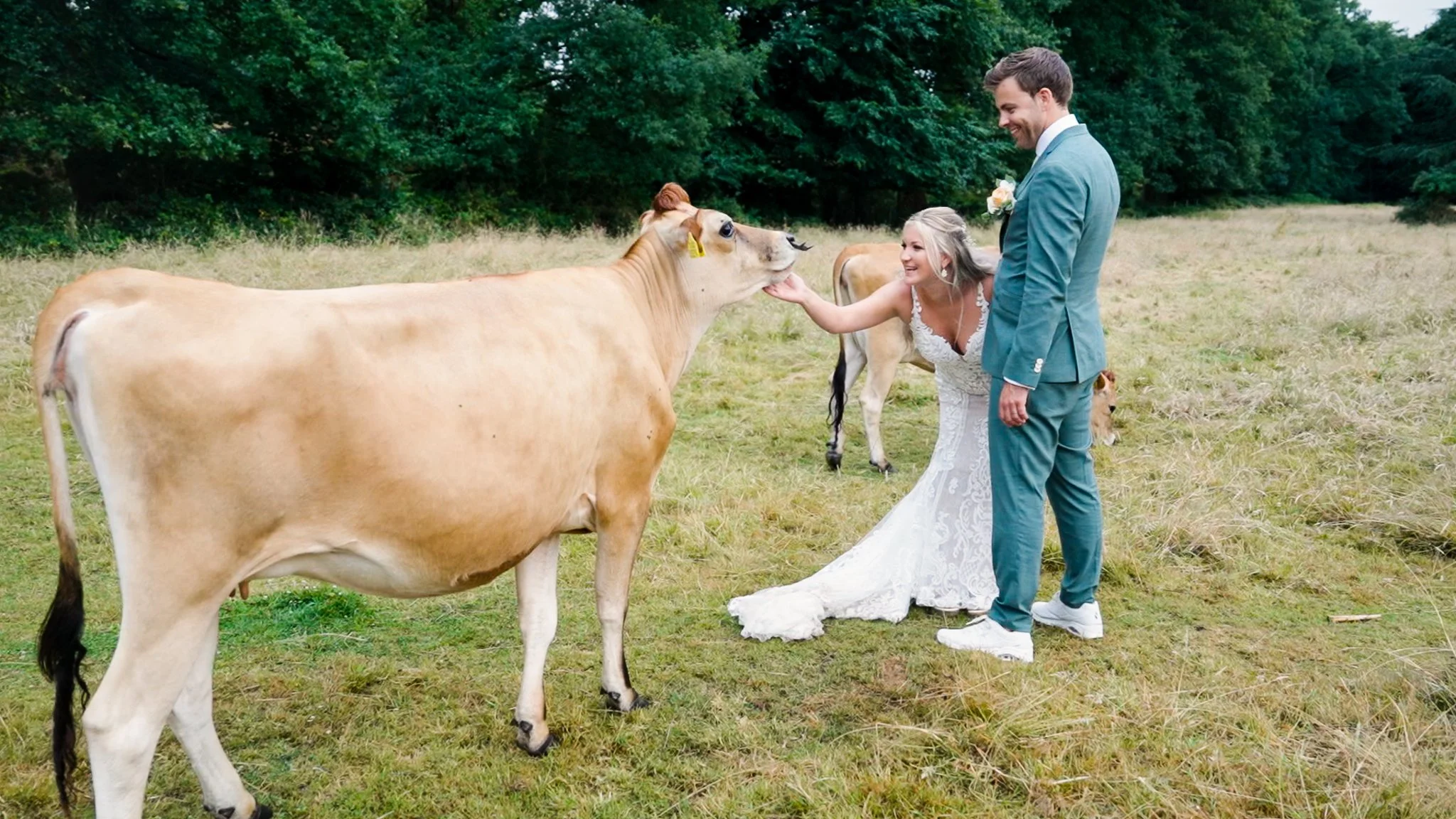 De koeien op Landgoed Rhederoord door State of Dreaming