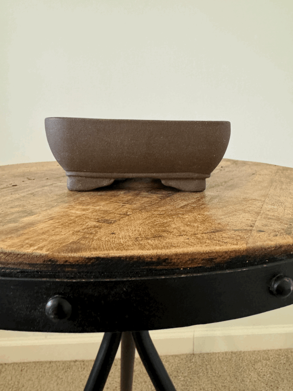 Chinese Rectangle #2 — Piedmont Bonsai