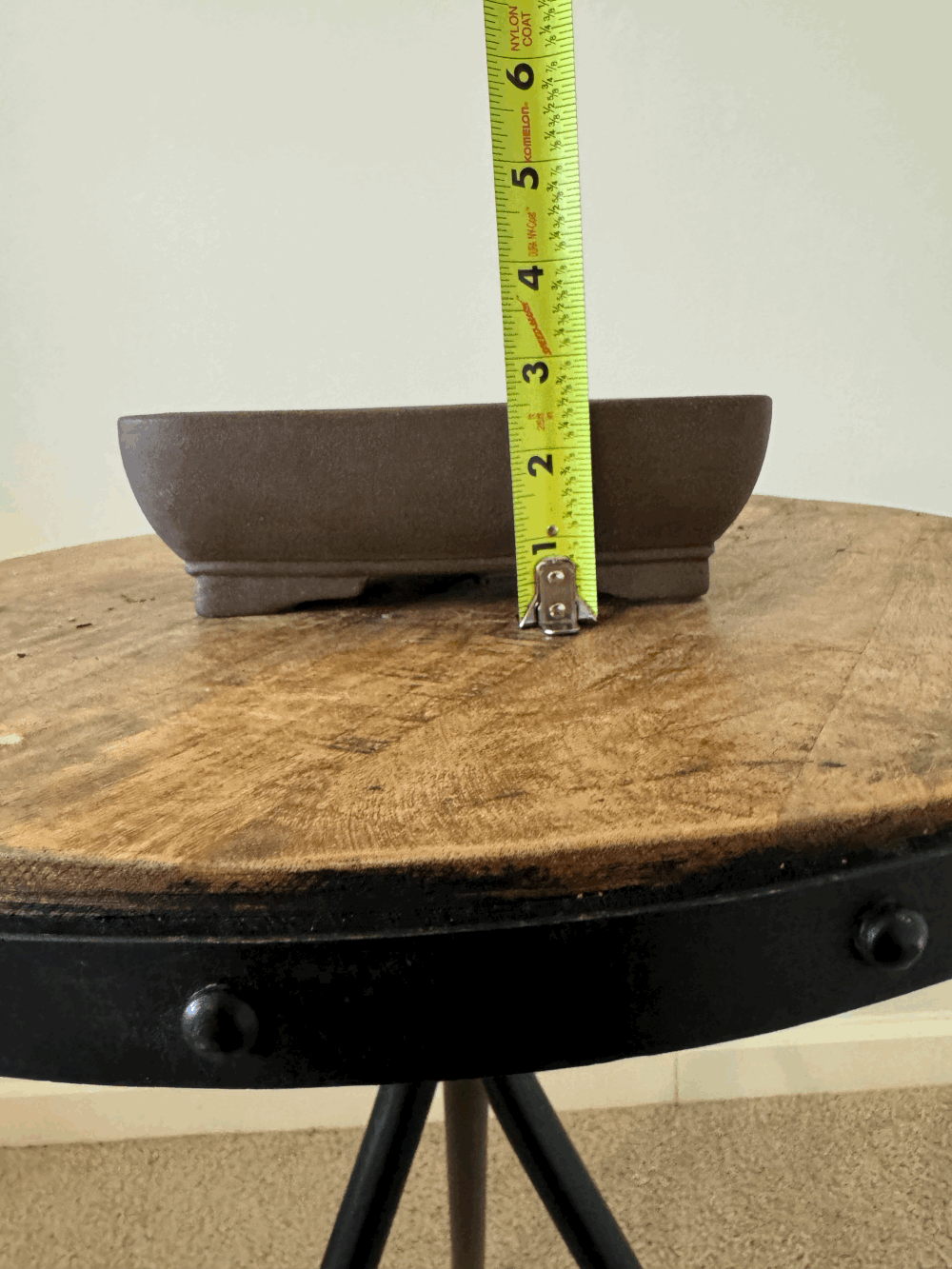 Chinese Rectangle #2 — Piedmont Bonsai