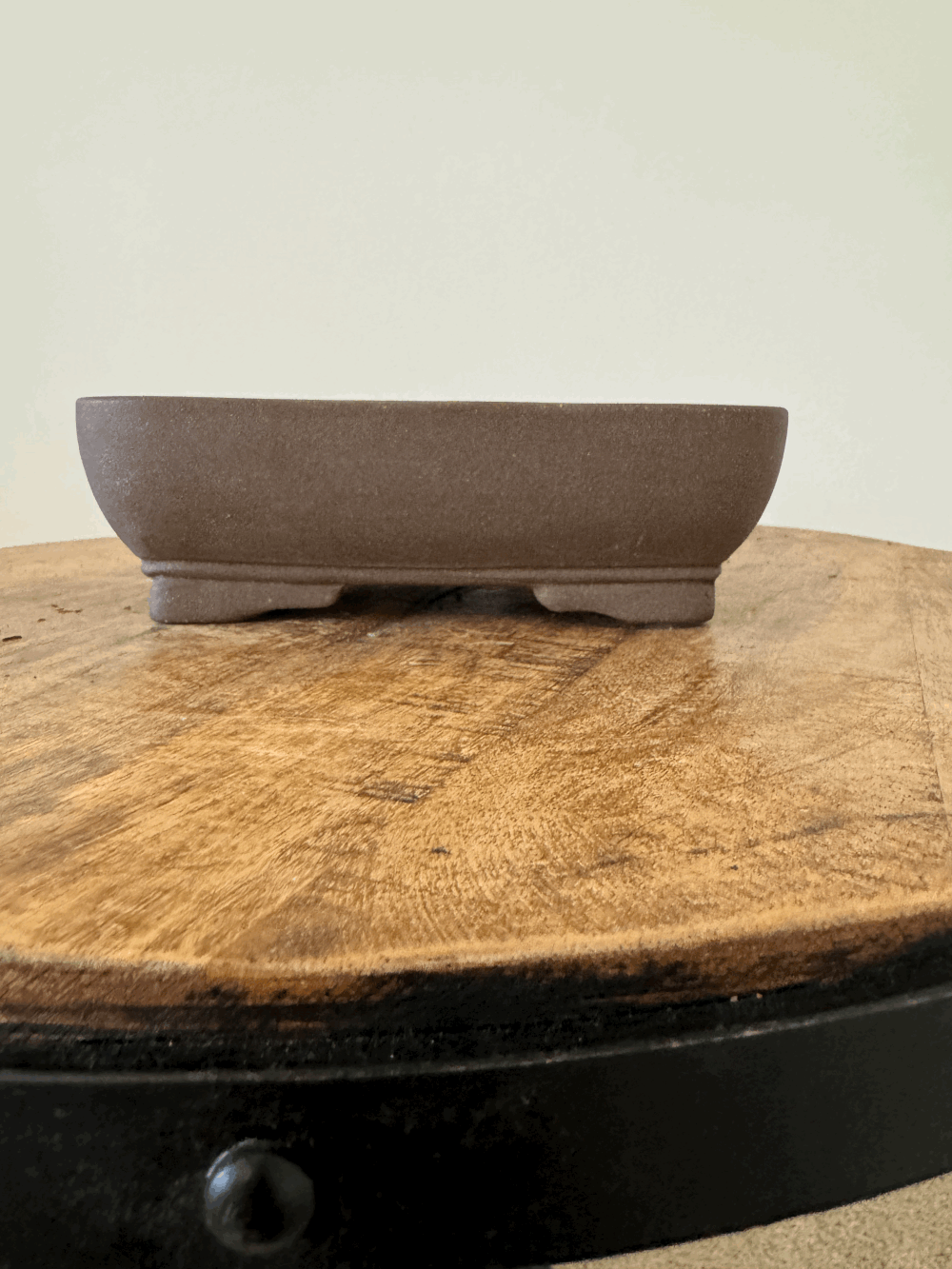 Chinese Rectangle #2 — Piedmont Bonsai