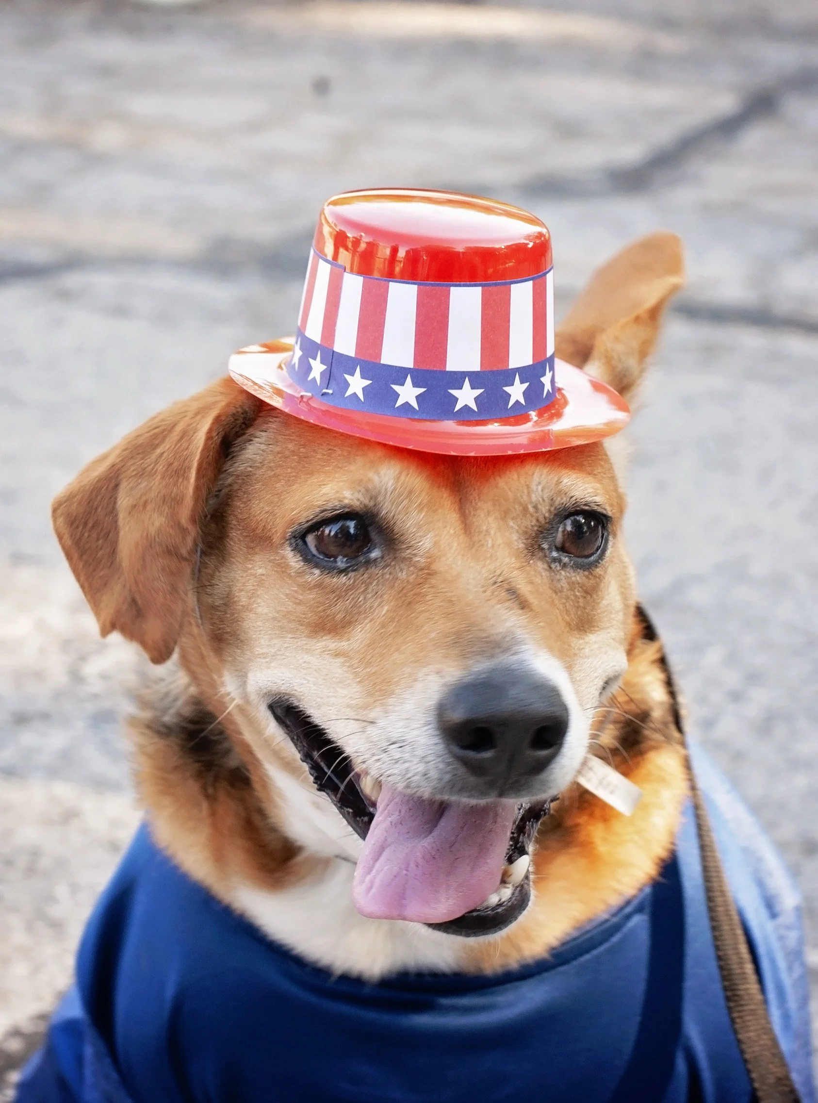 2023 4th of July Kid's Parade