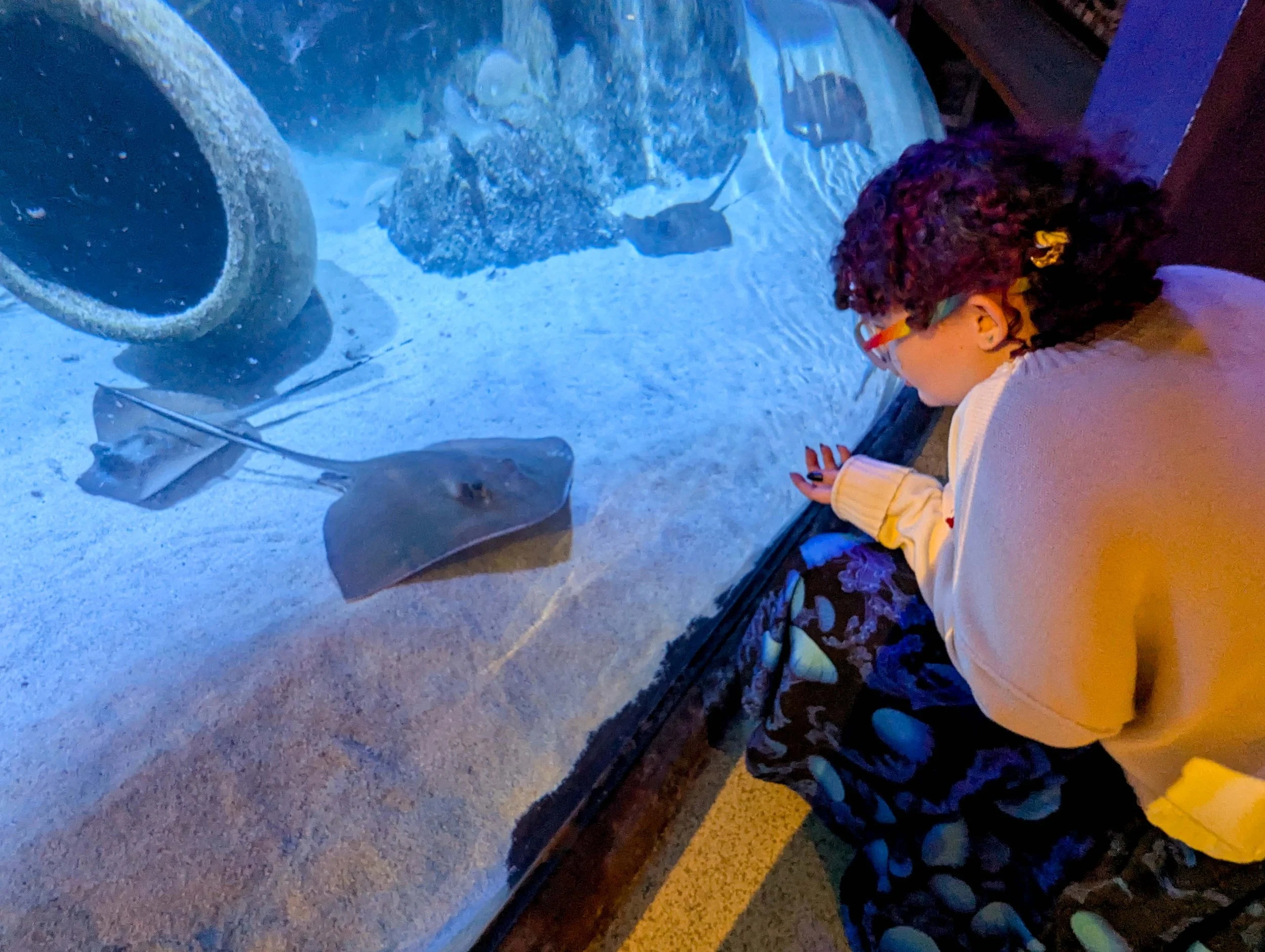 Under the sea, in KC!