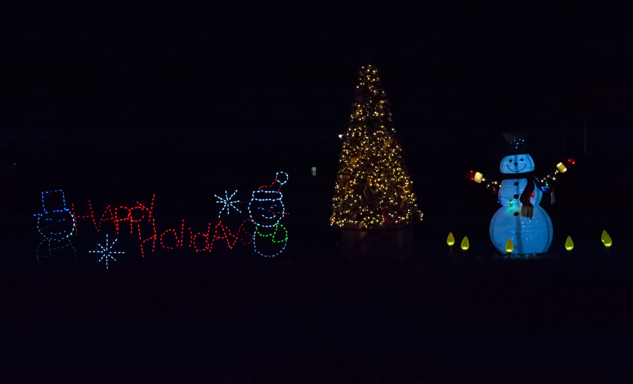 Christmas tree snowman sign.jpg