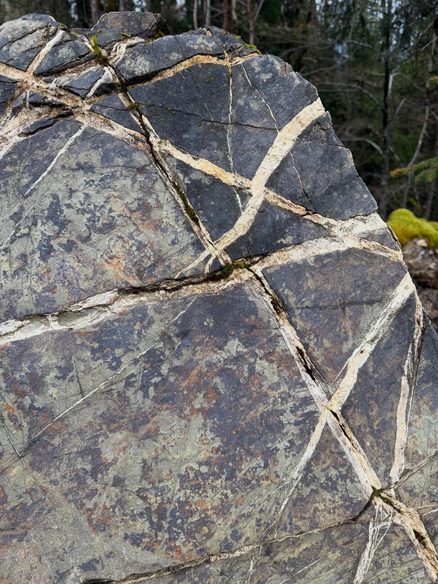 Inspirationen 

#sammeltag #naturmaterial #makingceramics #stoneware #natureknowsbest