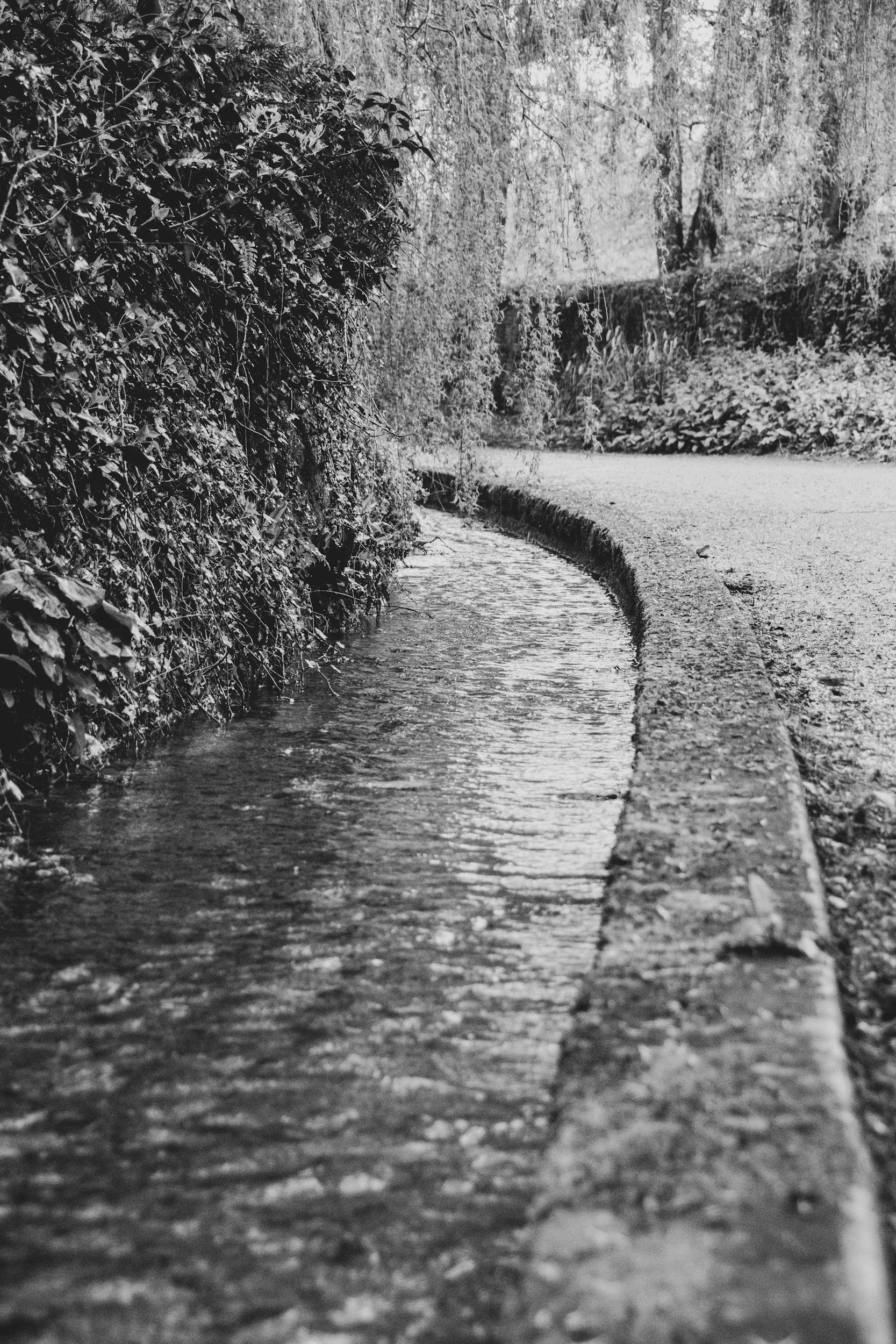 Living with Watercourses - Insights from Experts An In-Depth Discussion