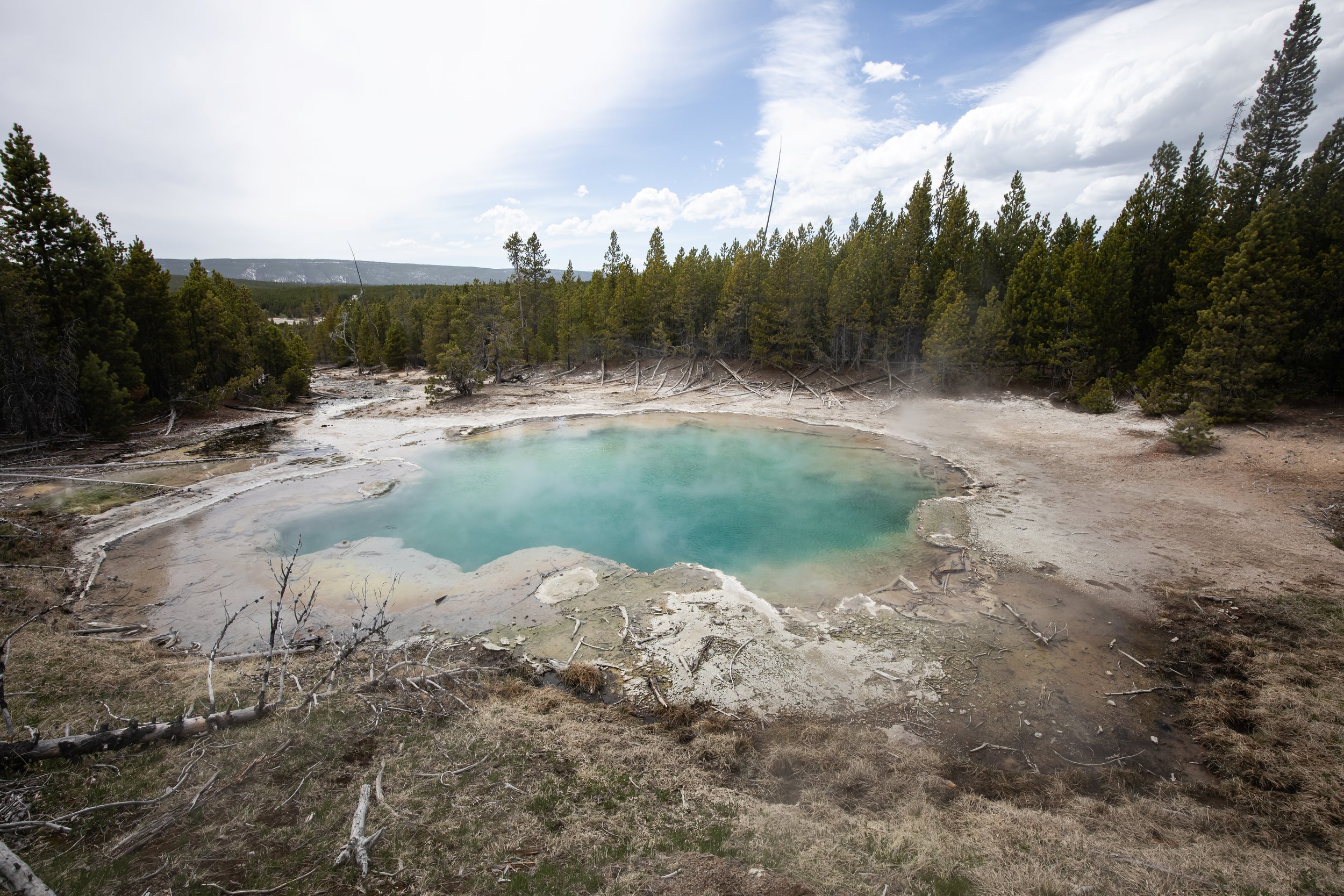 hot spring.jpg