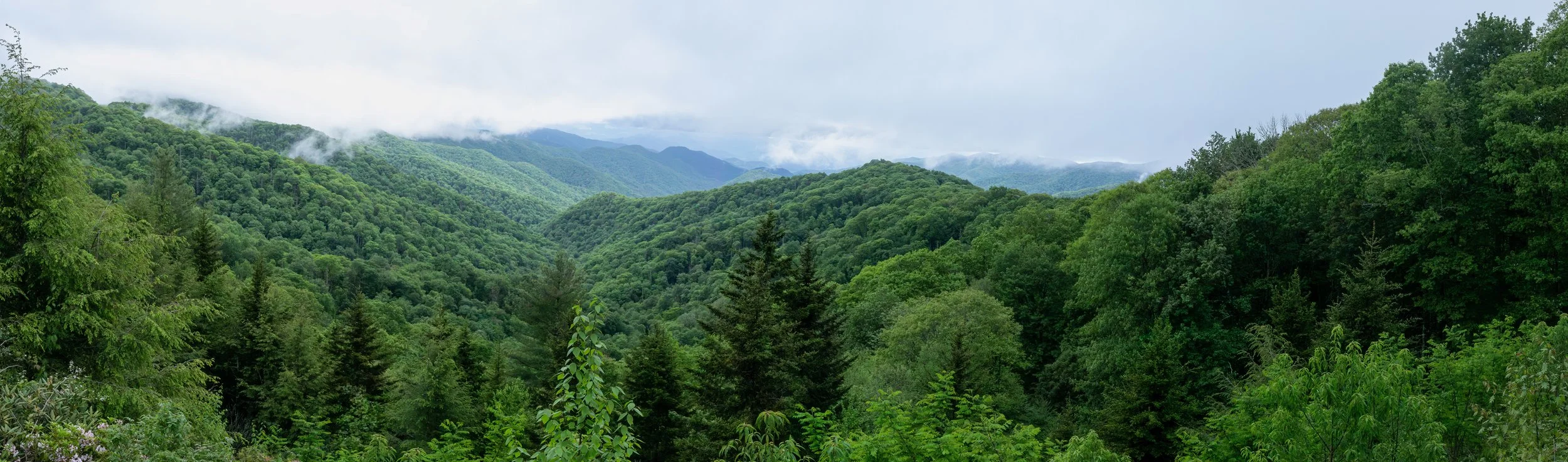 smoky-mtn-pano-may.jpg
