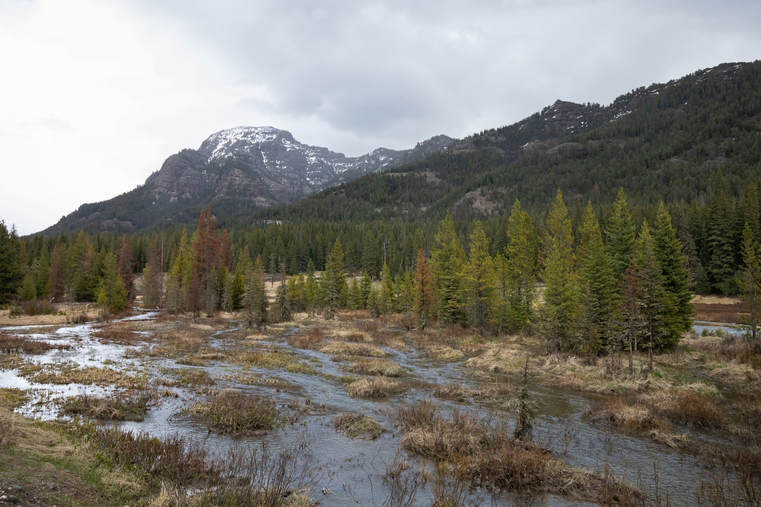 soda butte creek.jpg