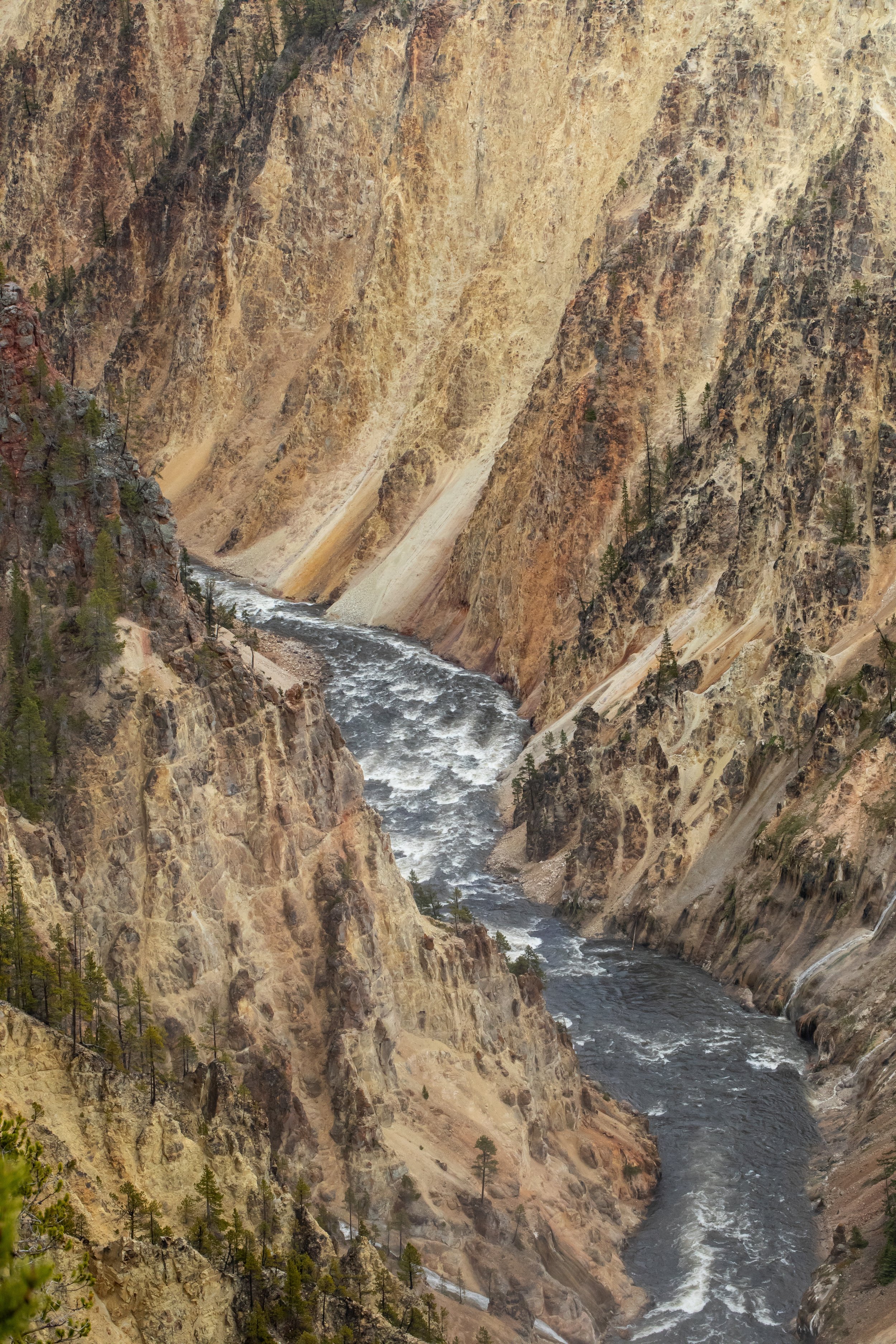grand canyon YELL 3.jpg