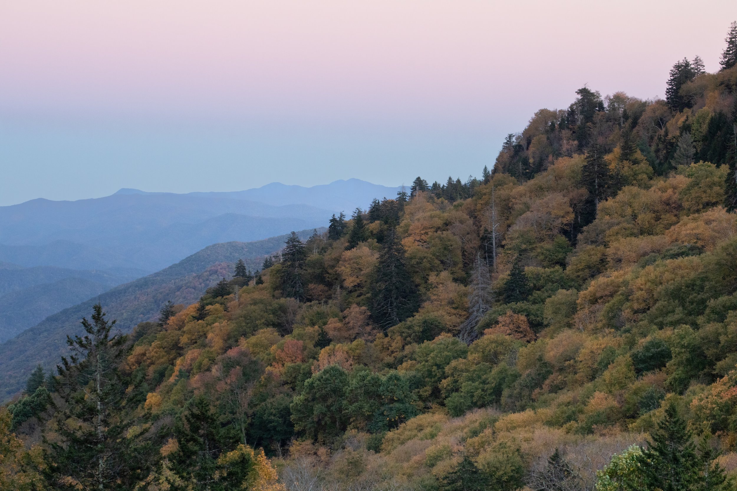 beginnings of fall.jpg