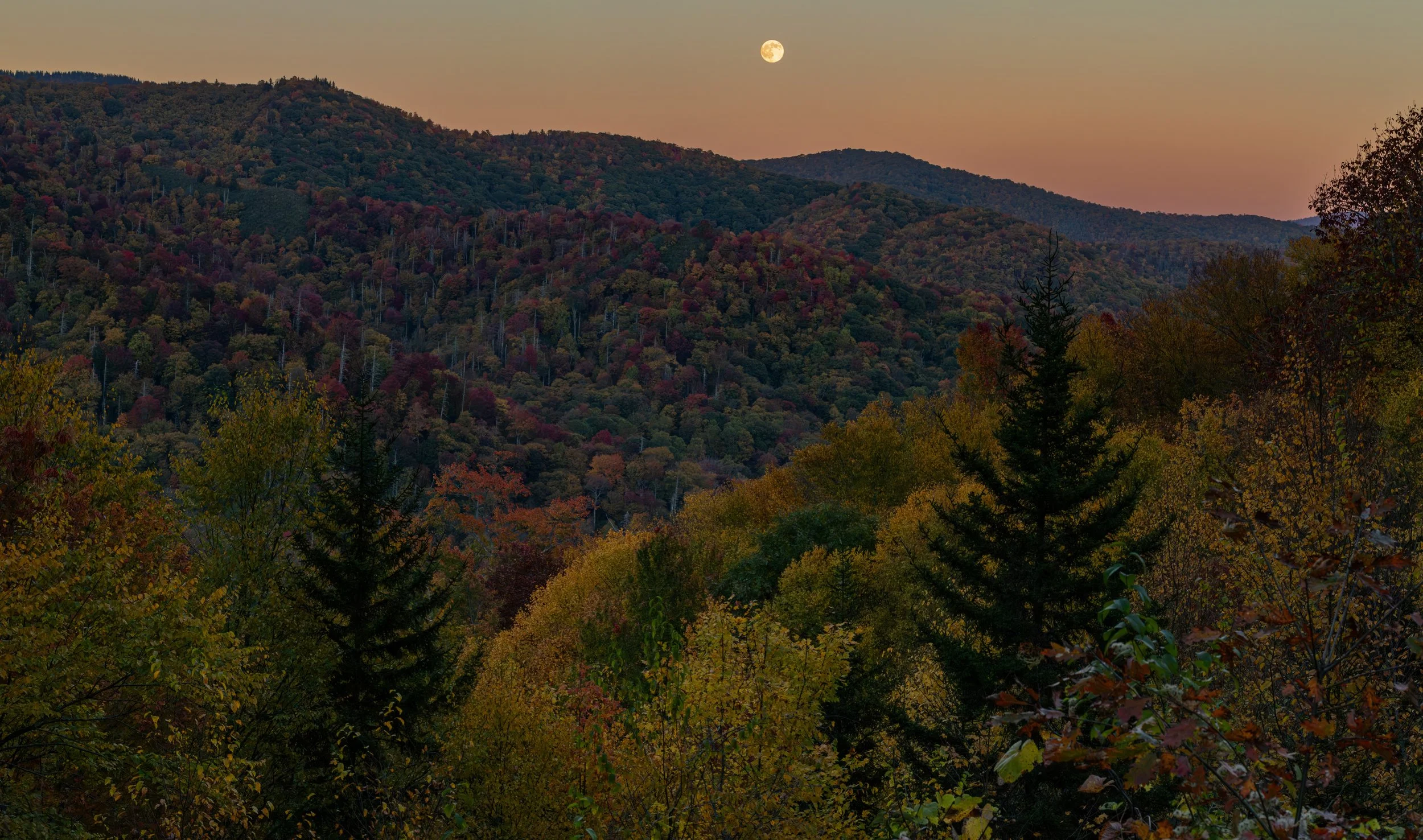 autumn-moon-pano.jpg