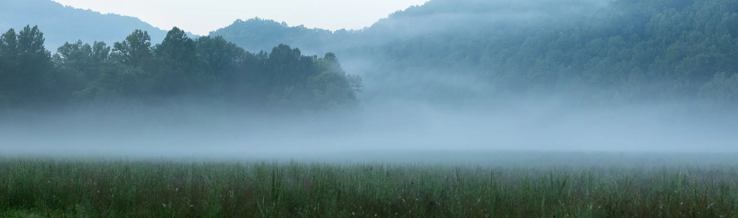 foggy-morning-pano.jpg