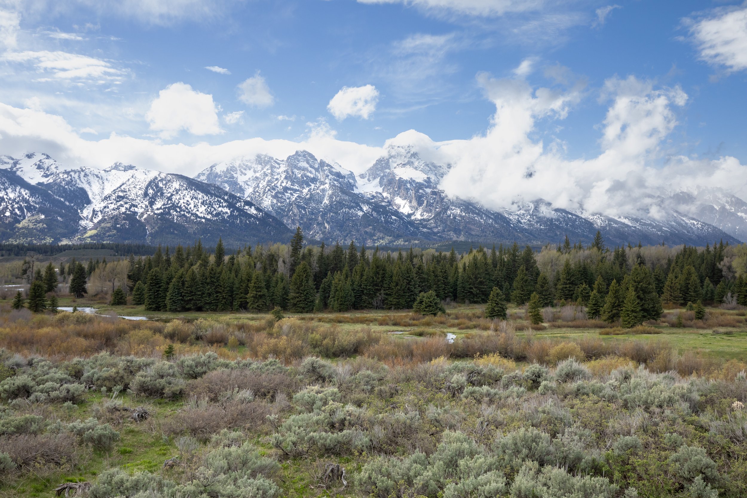 teton view.jpg