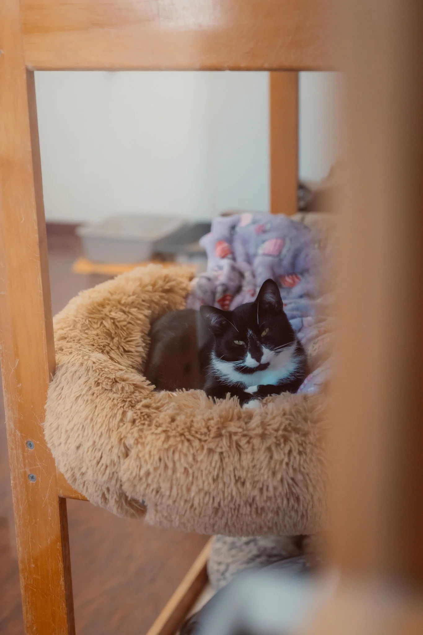 DSC_1680.jpg