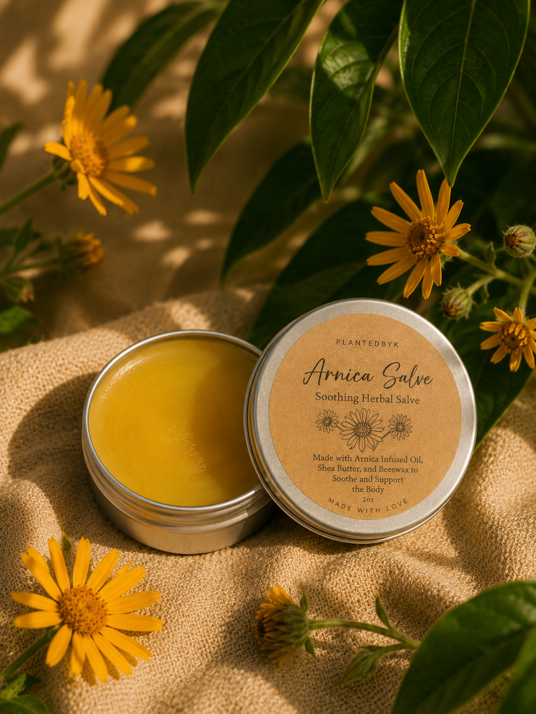 Arnica First Aid Salve 2oz