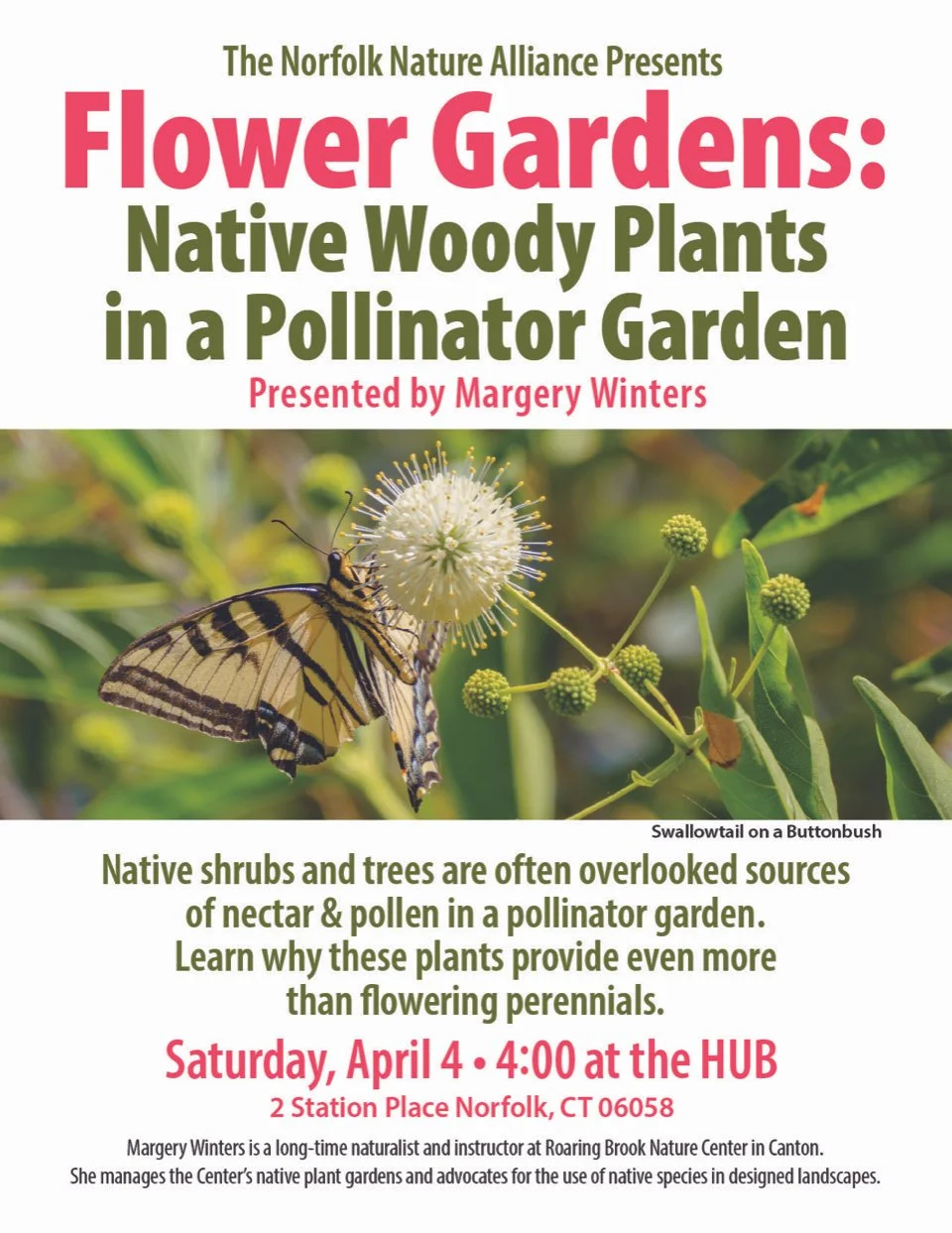 Flower Gardens: Native Woody Plants in a Pollinator Garden
