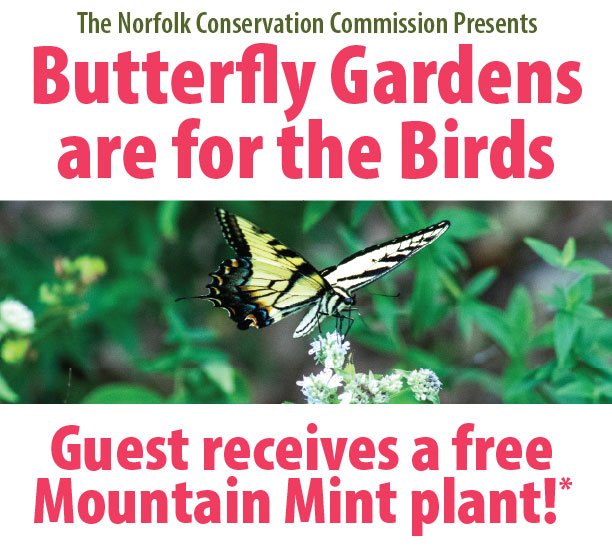 Butterfly Gardens are for the Birds