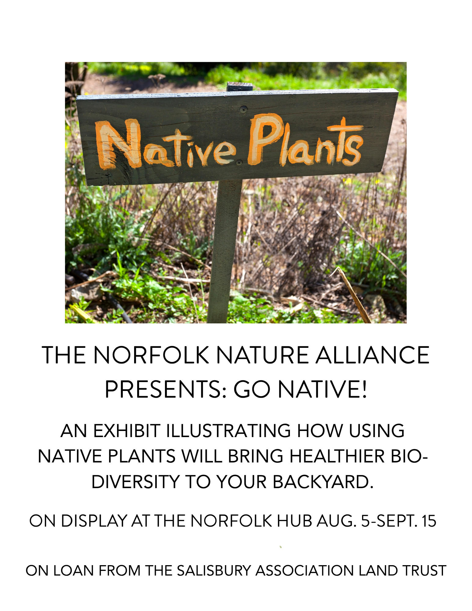 Norfolk Nature Alliance Exhibit “Go Native!”
