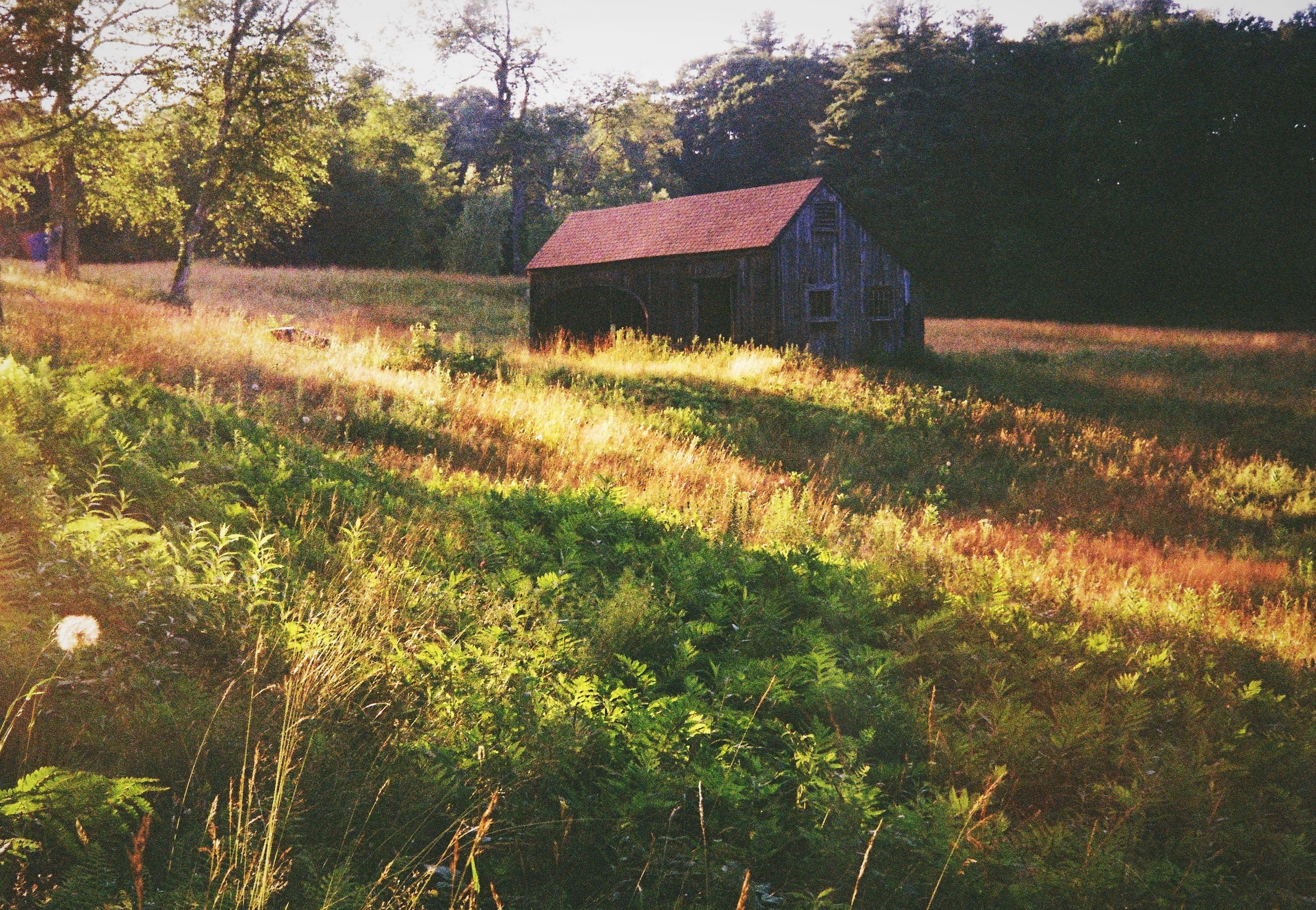 Norfolk Photographers Exhibit 