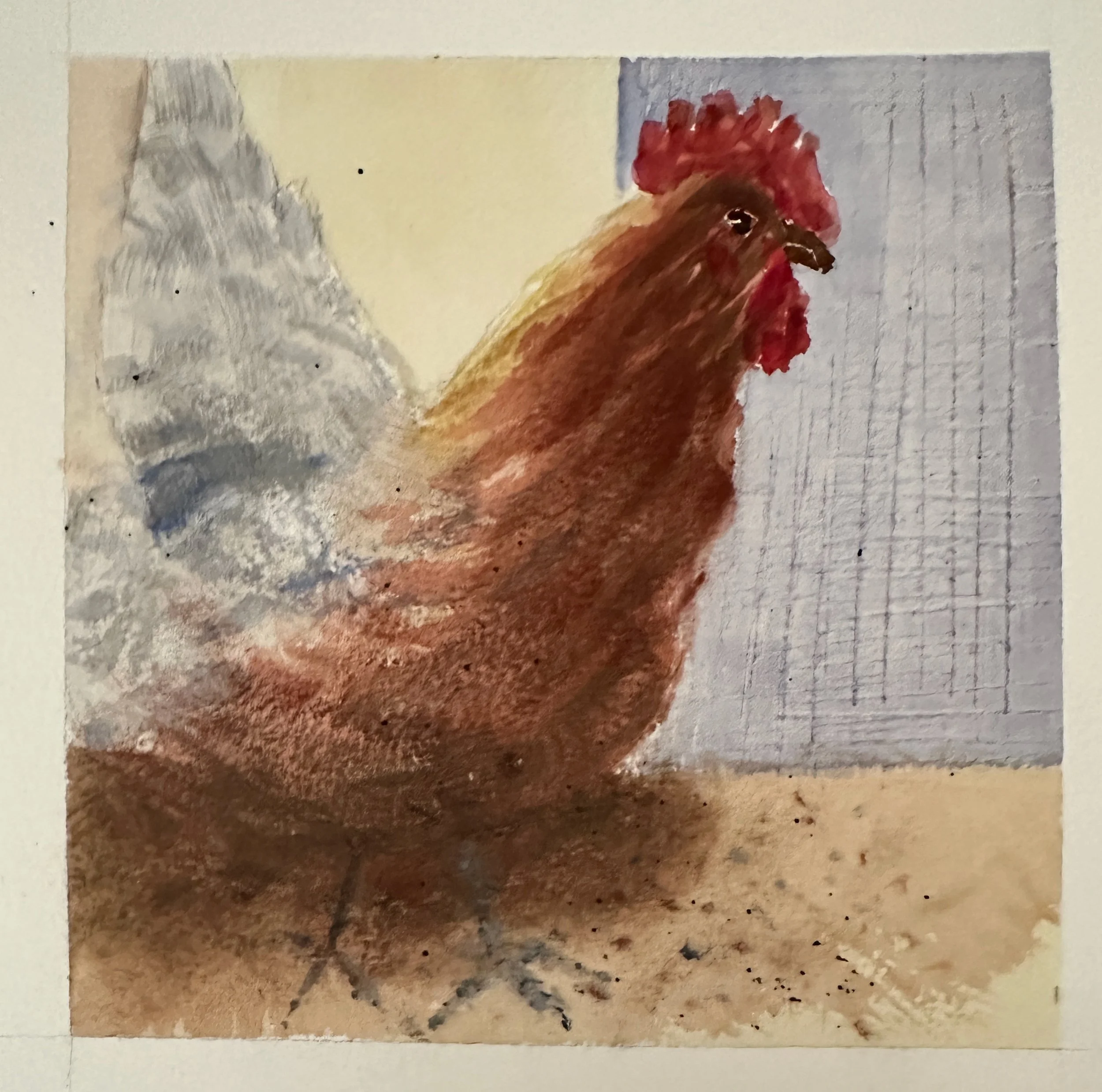 FOLIT,RoosterInTheCoop.jpeg