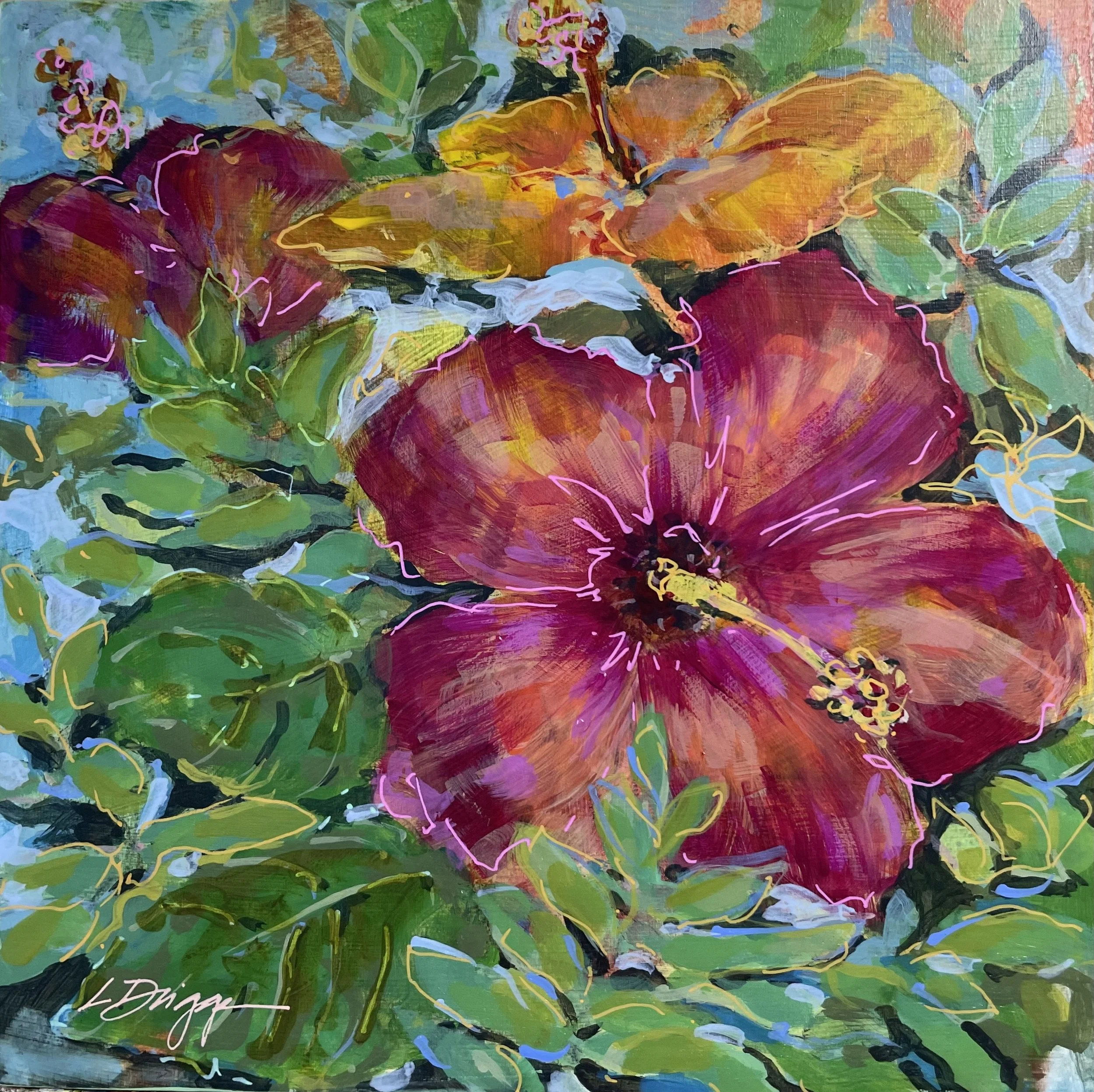 Hibiscus+Radiance.jpg